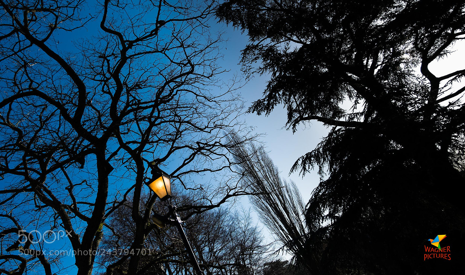 Fujifilm X-T2 sample photo. Lantern waste photography