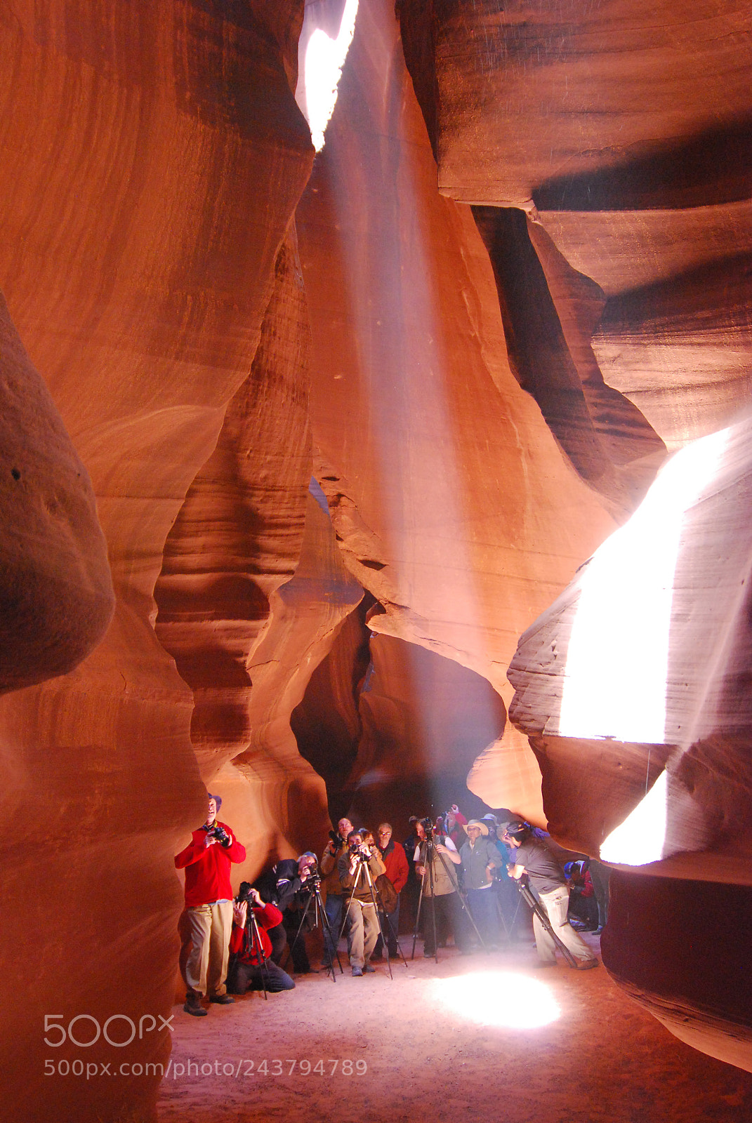 Nikon D80 sample photo. Interesting perspective of antelope photography