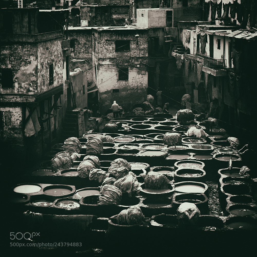Pentax K-5 sample photo. Tannery in fez photography