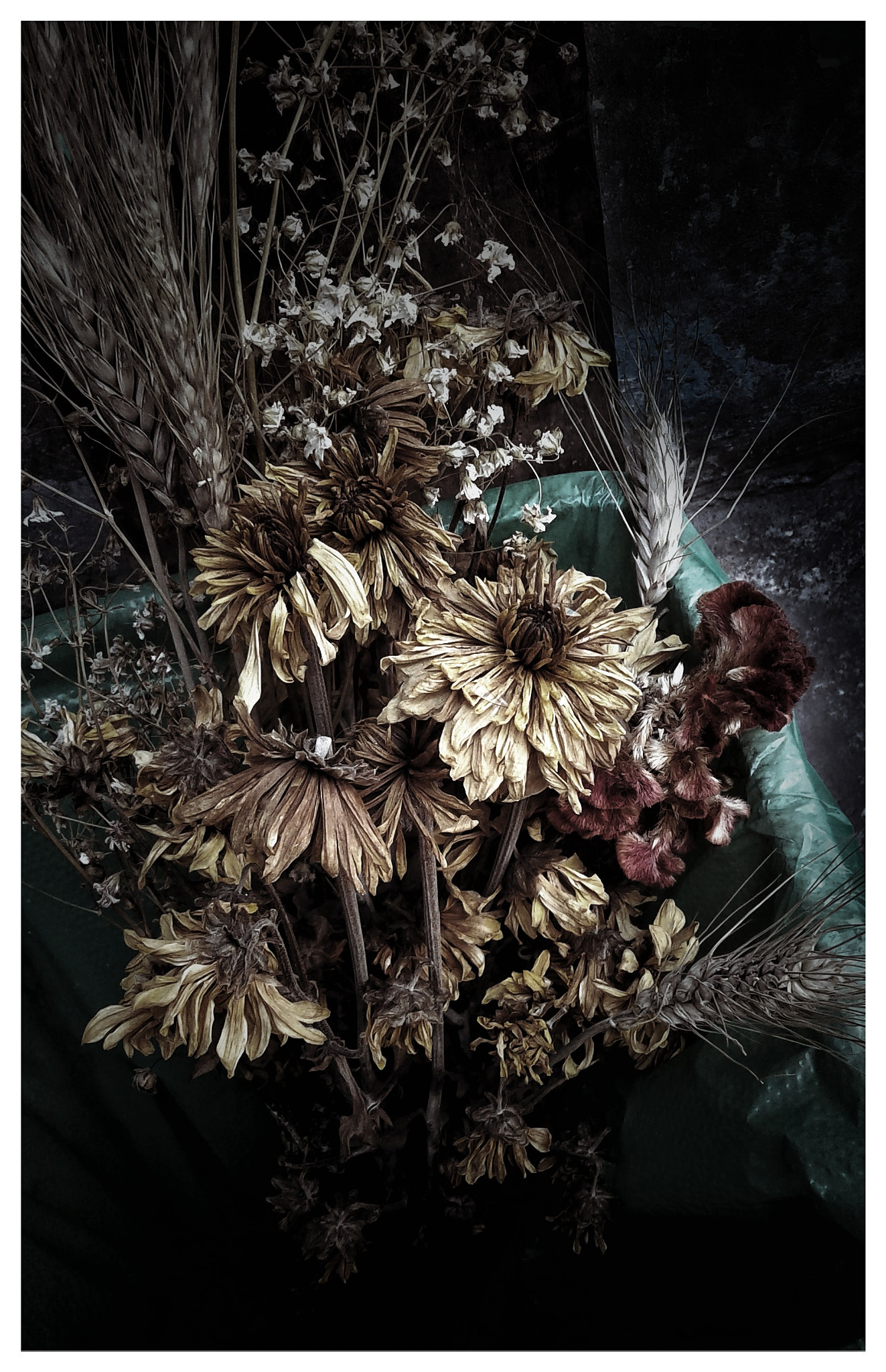 Samsung Galaxy J1 Ace sample photo. Dead flowers photography