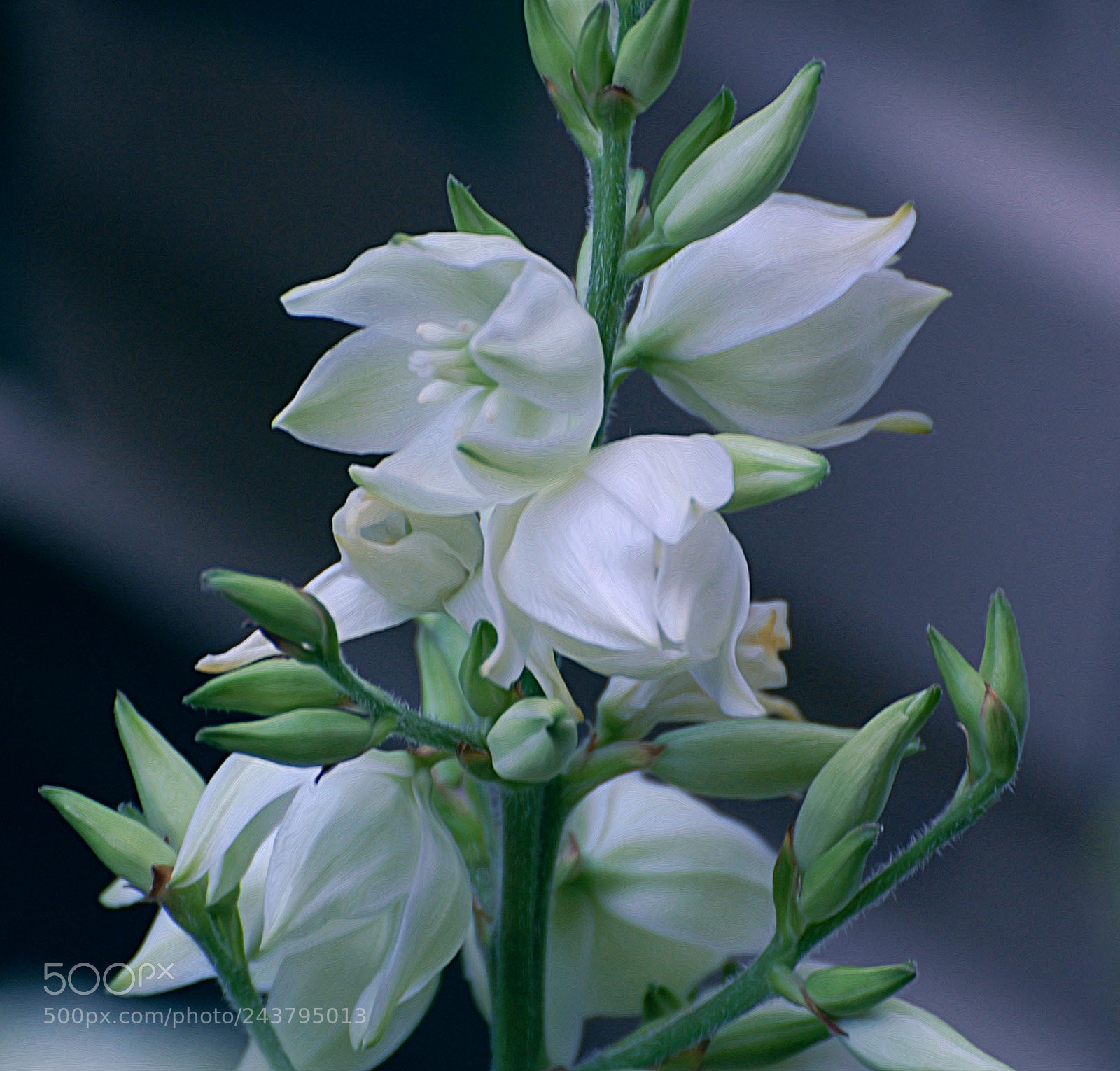 Nikon D40 sample photo. Untitled photography