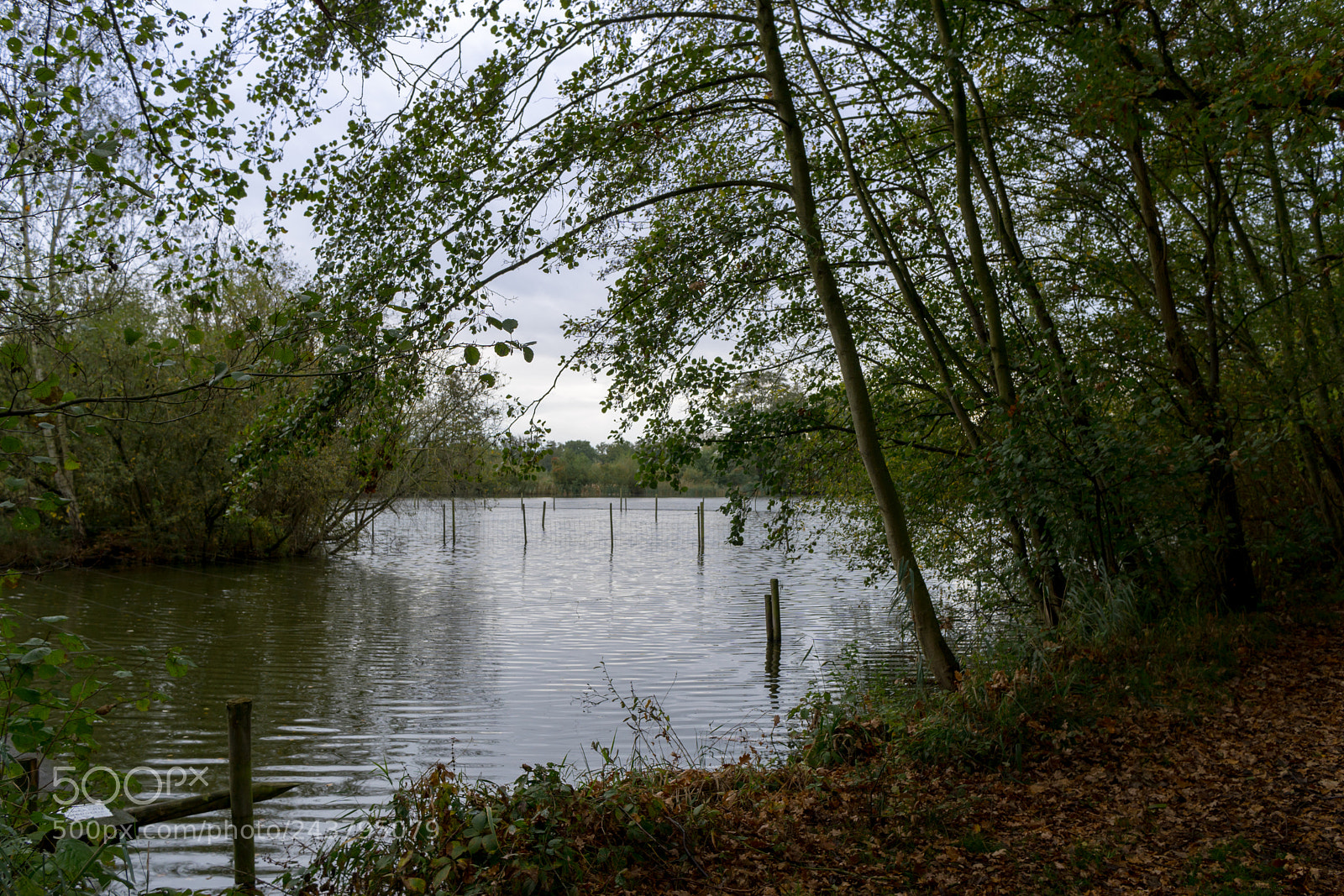 Sony a6300 sample photo. Pond. photography