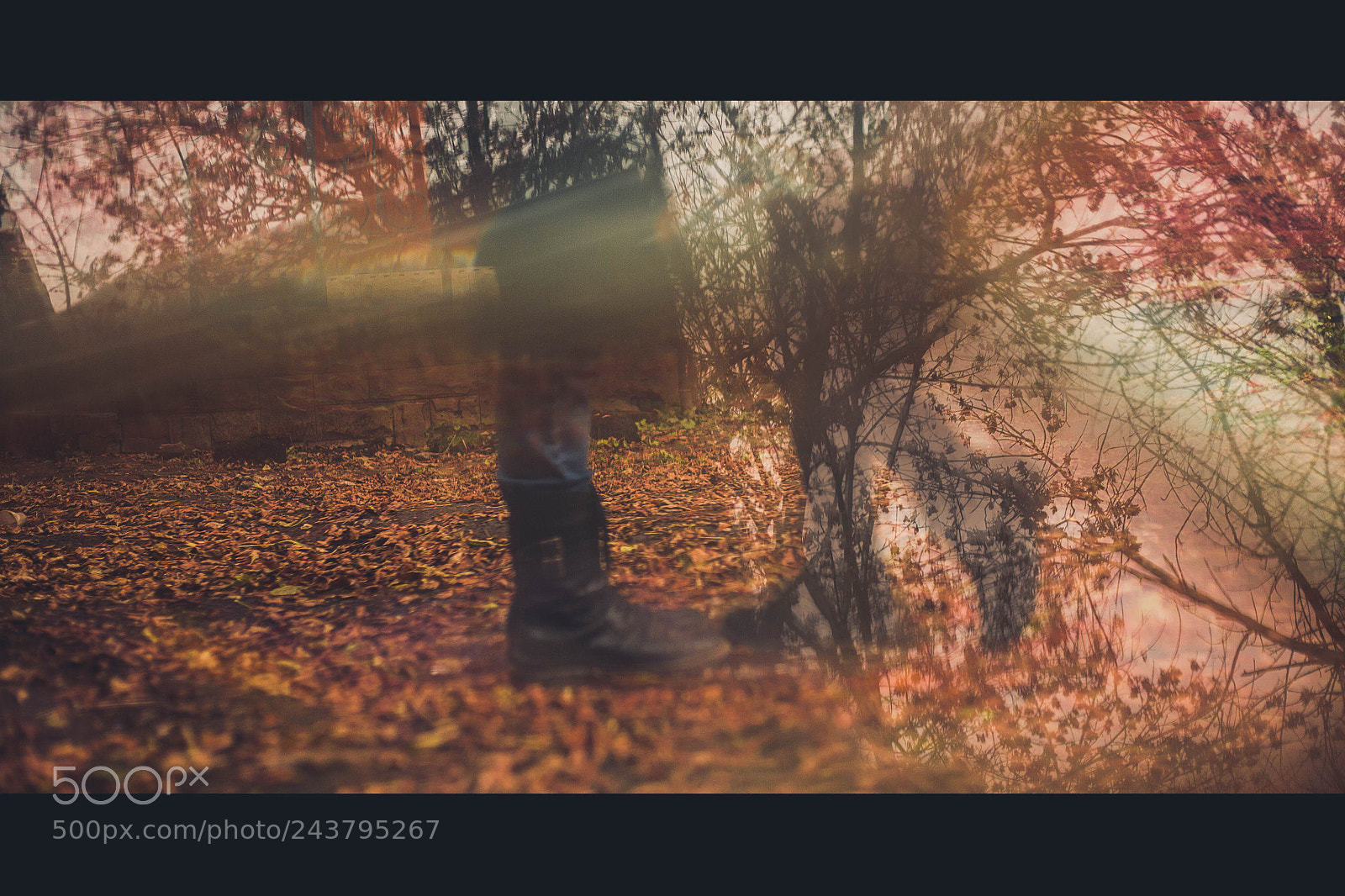 Canon EOS 5D sample photo. Untitled photography