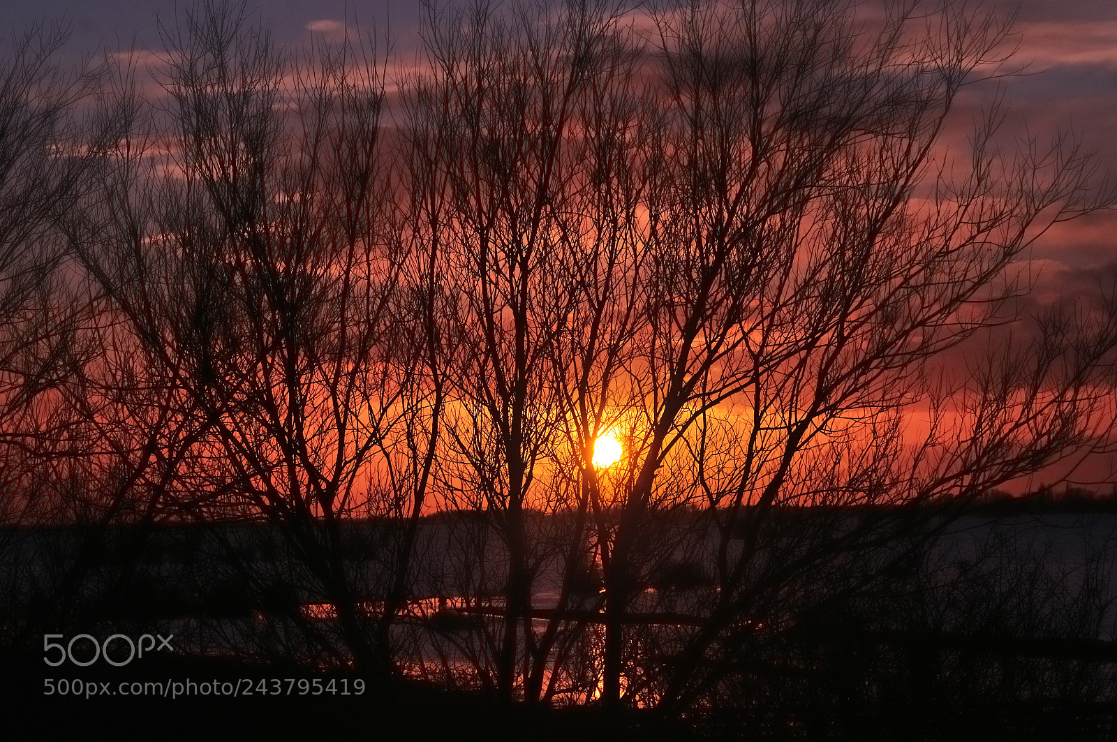 Nikon D5000 sample photo. Sunset on the wash photography