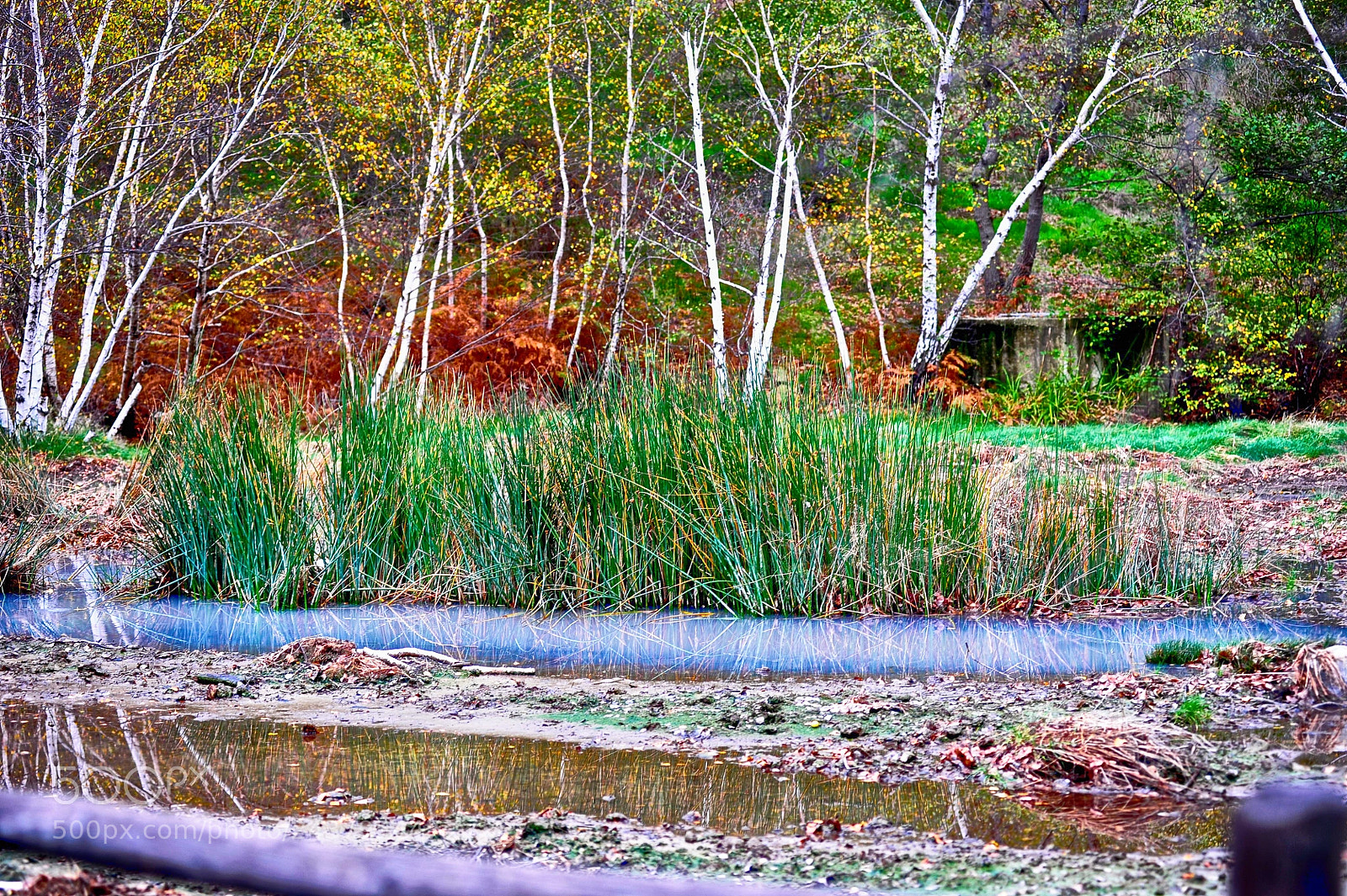 Nikon D700 sample photo. Sulphurous waters photography