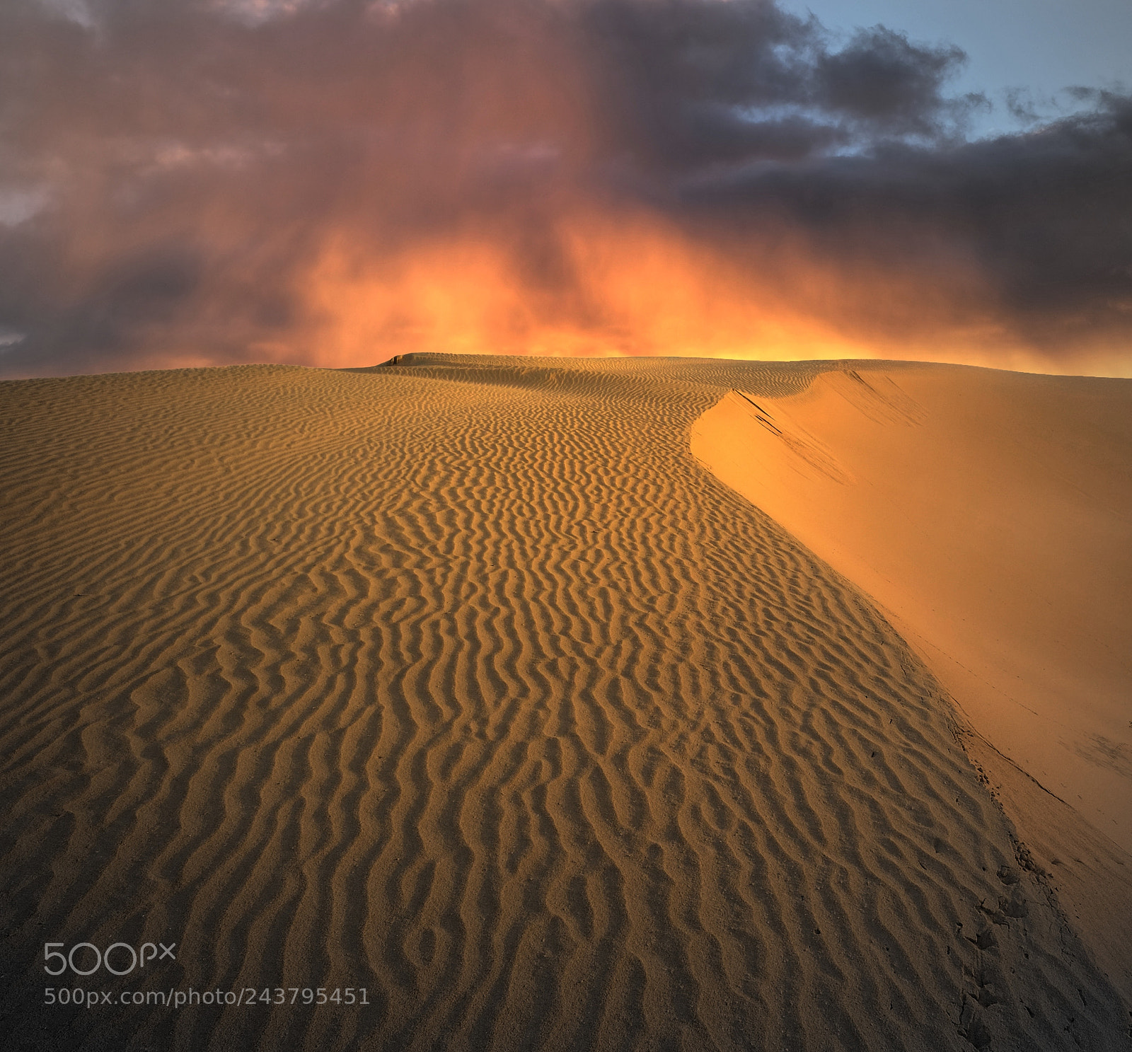 Fujifilm X-Pro1 sample photo. Flaming sands photography