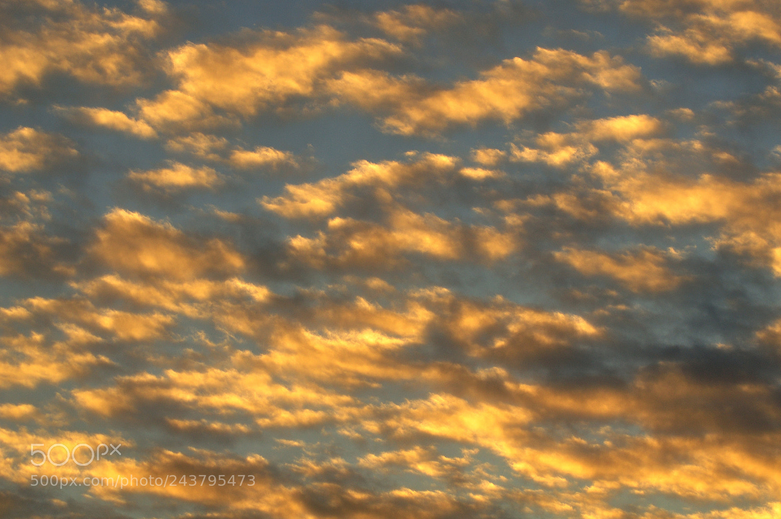 Nikon D5000 sample photo. Sunset cloudscape photography
