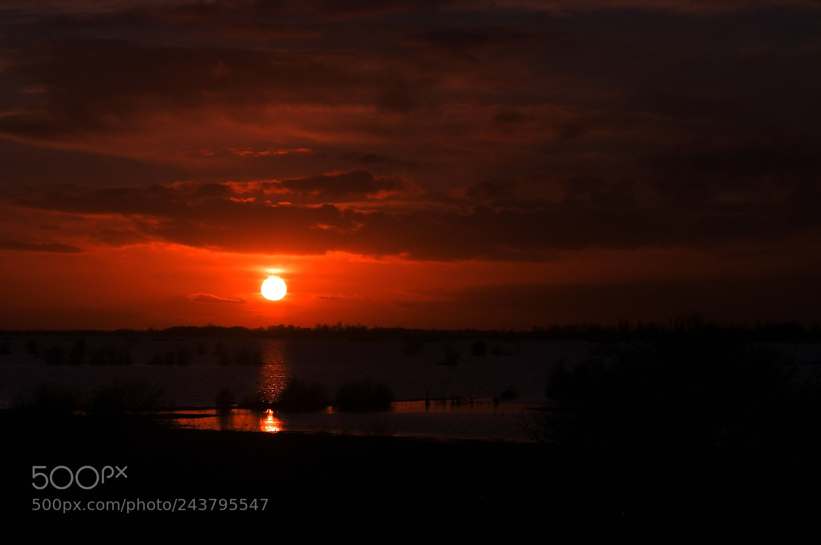 Nikon D5000 sample photo. Red sky photography