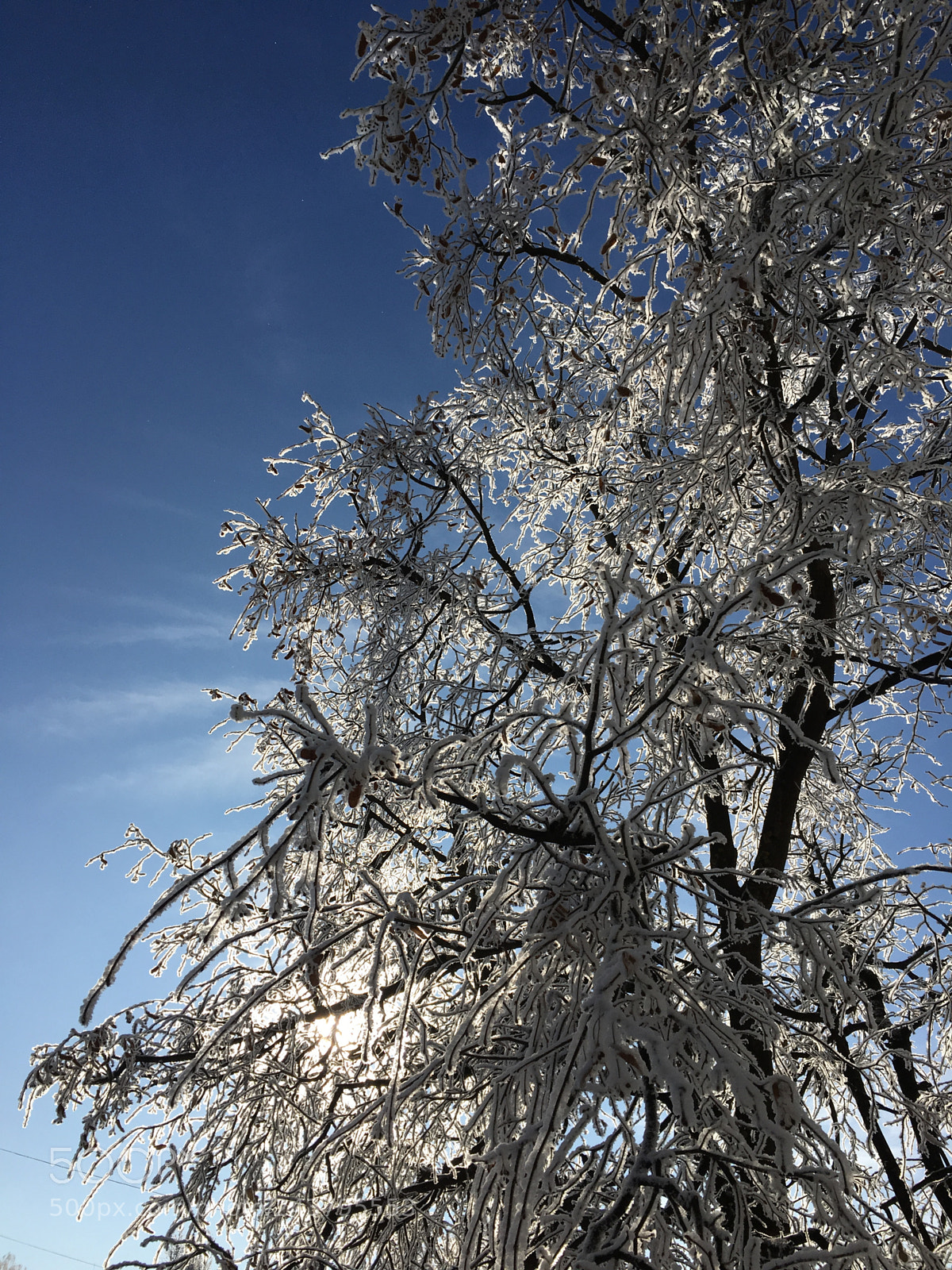 Apple iPhone 6s sample photo. Nature photography