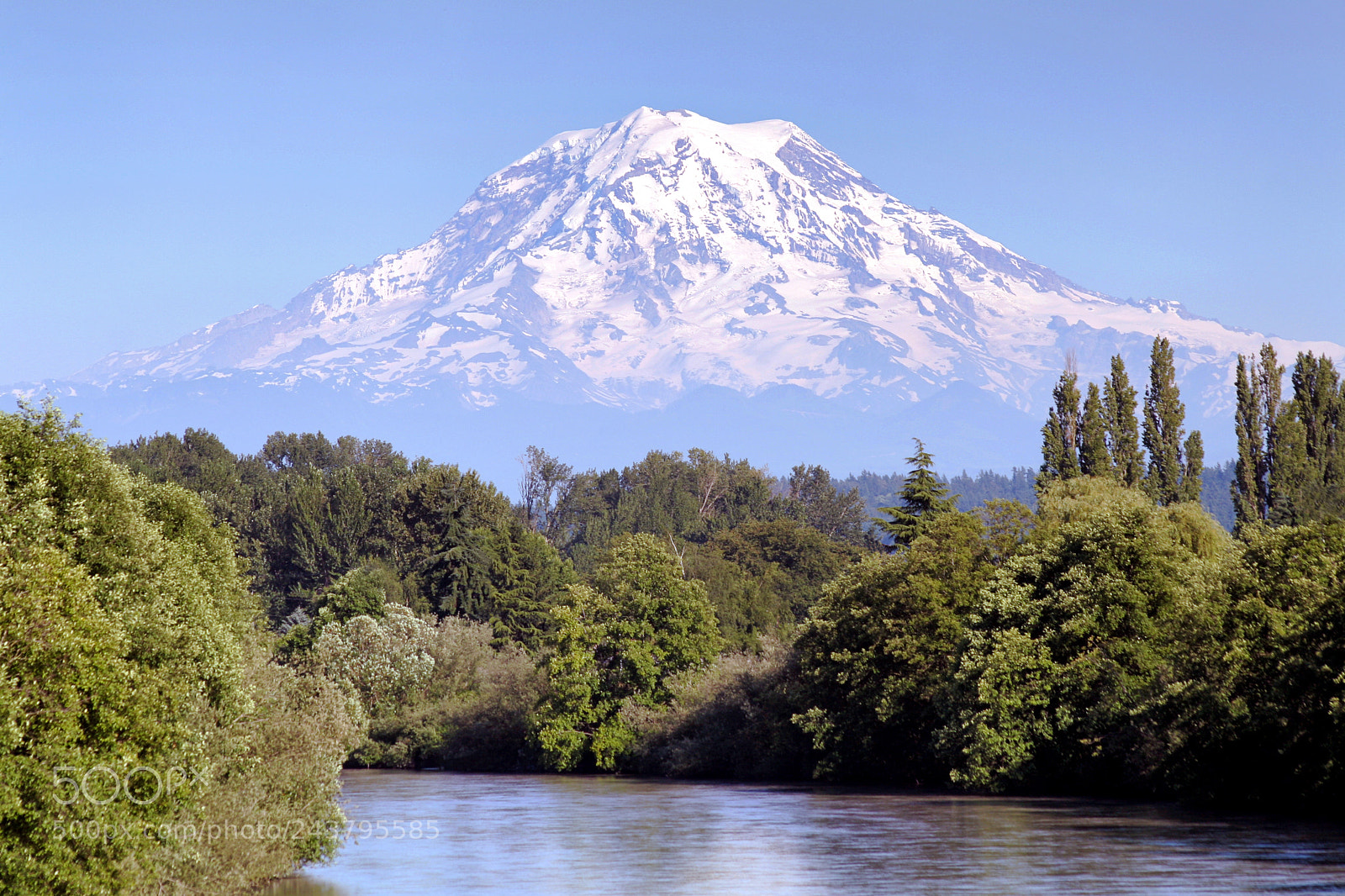 Canon EOS 20D sample photo. Mt. rainier and puyallup photography