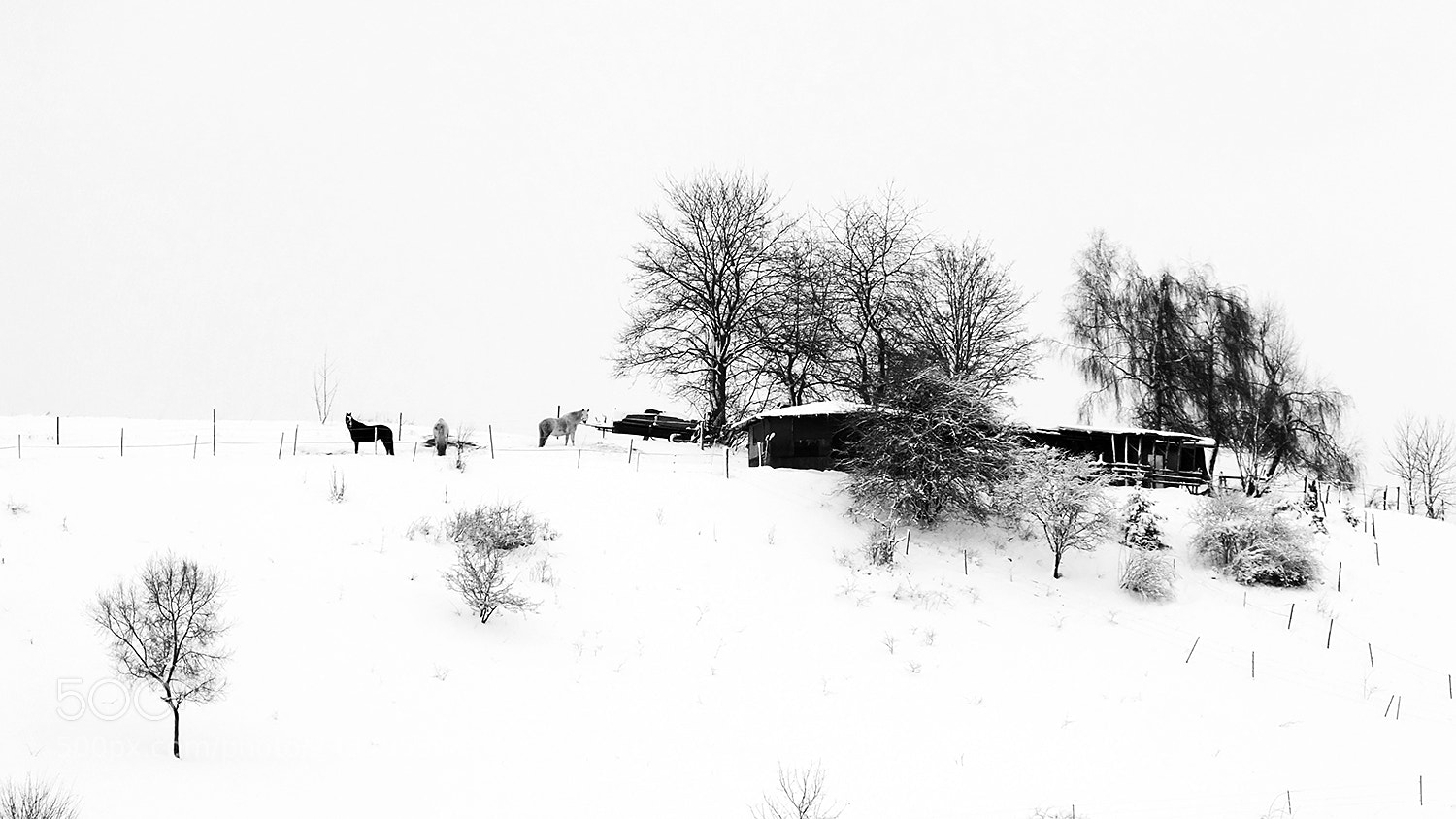 Fujifilm FinePix HS30EXR sample photo. ... winter visions ... photography