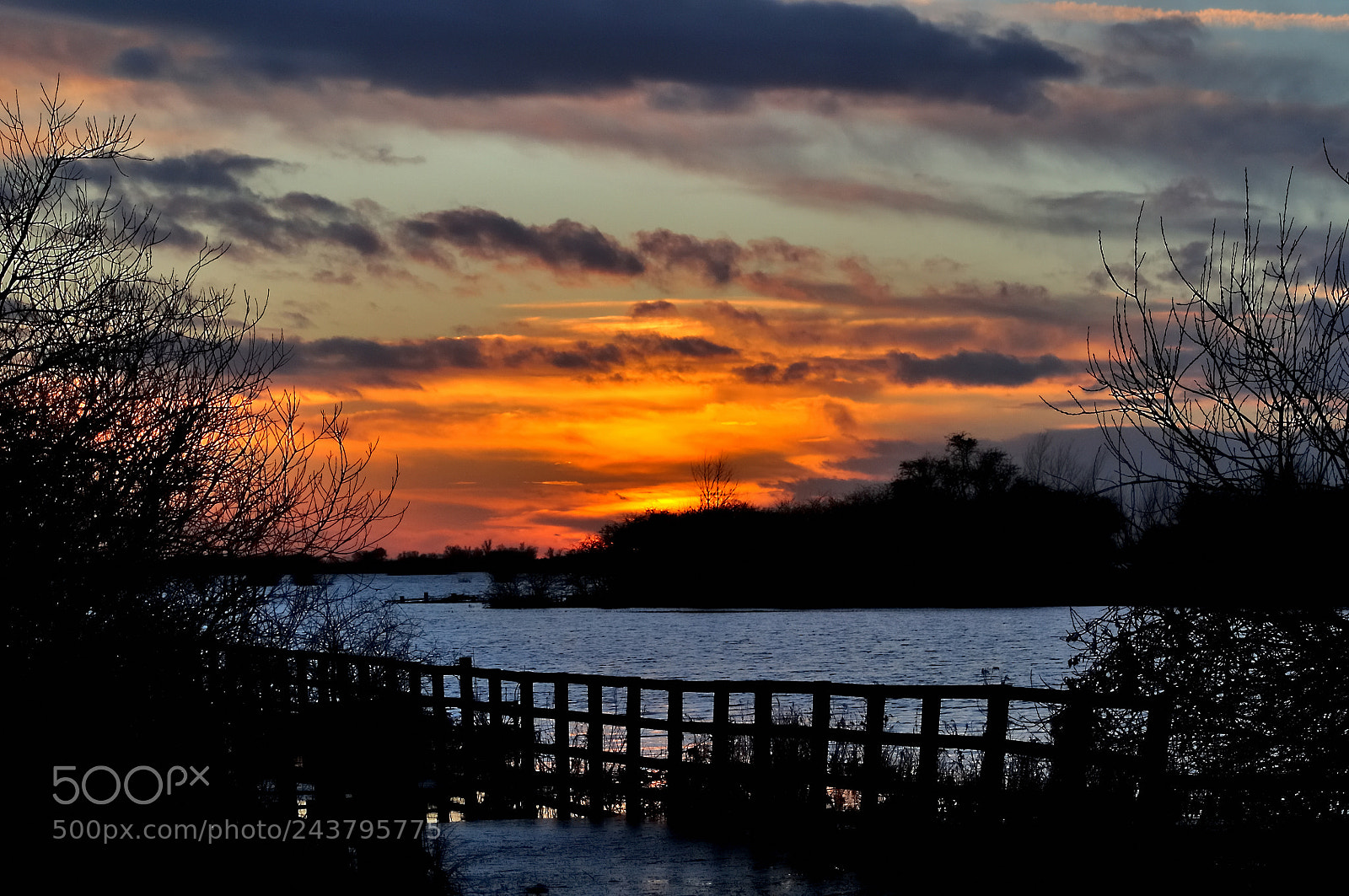 Nikon D5000 sample photo. The end of a photography