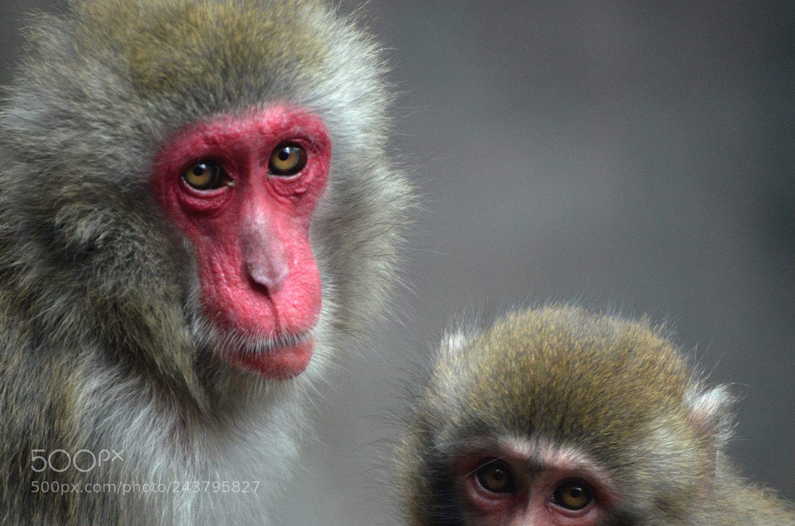 Nikon D5100 sample photo. North of chiapas photography