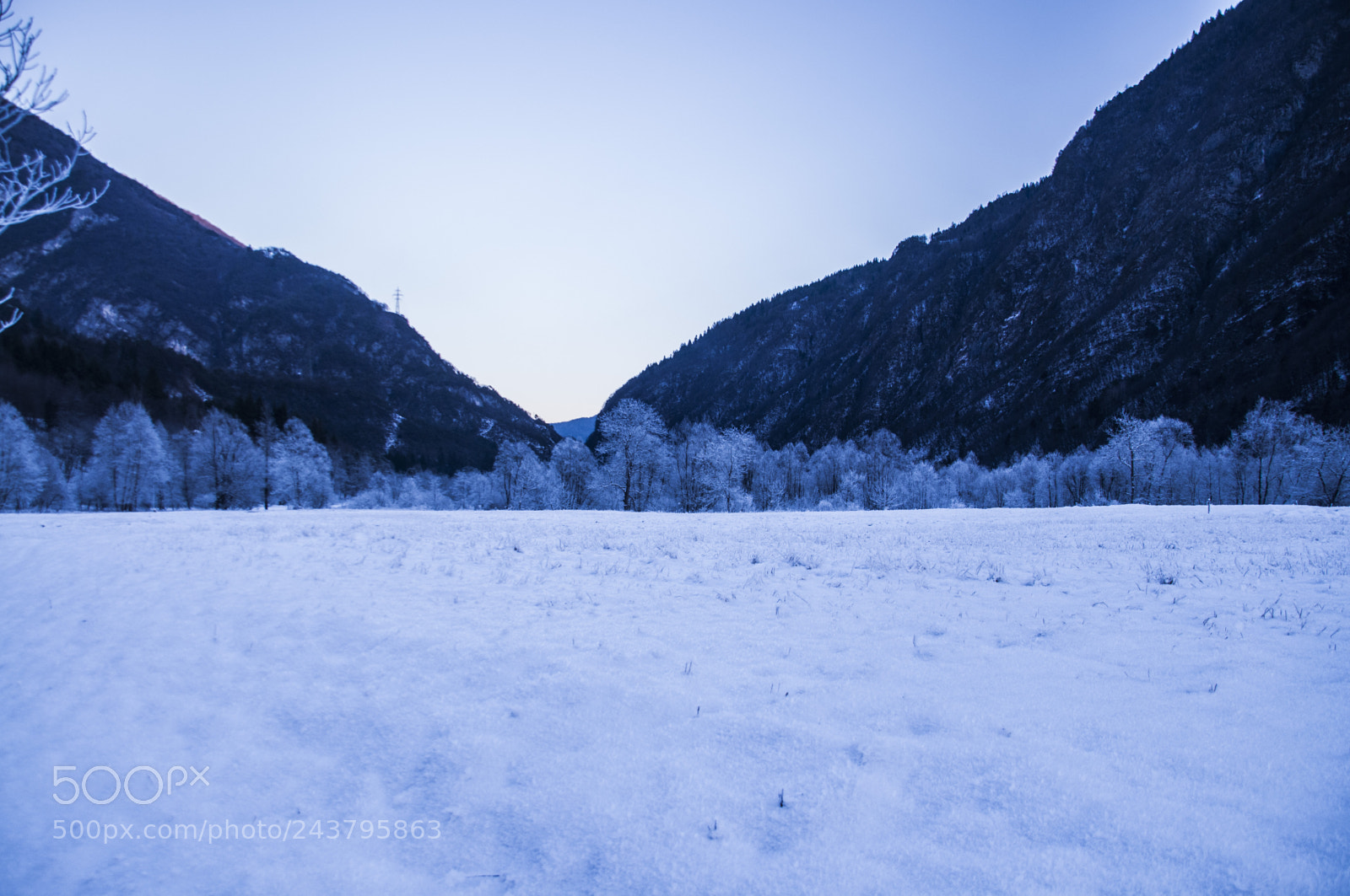 Nikon D5000 sample photo. () photography