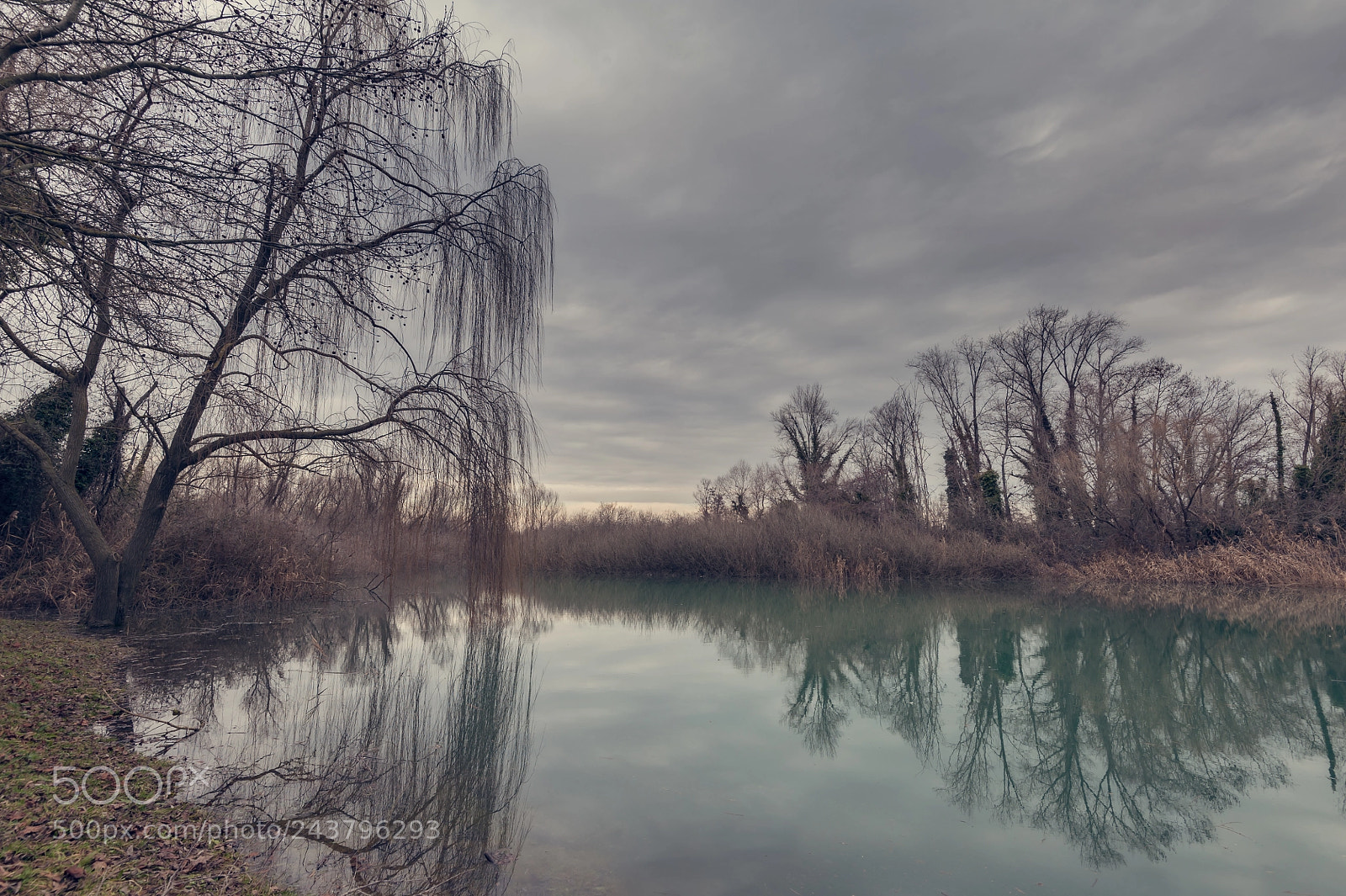 Nikon D700 sample photo. Creek of a river photography