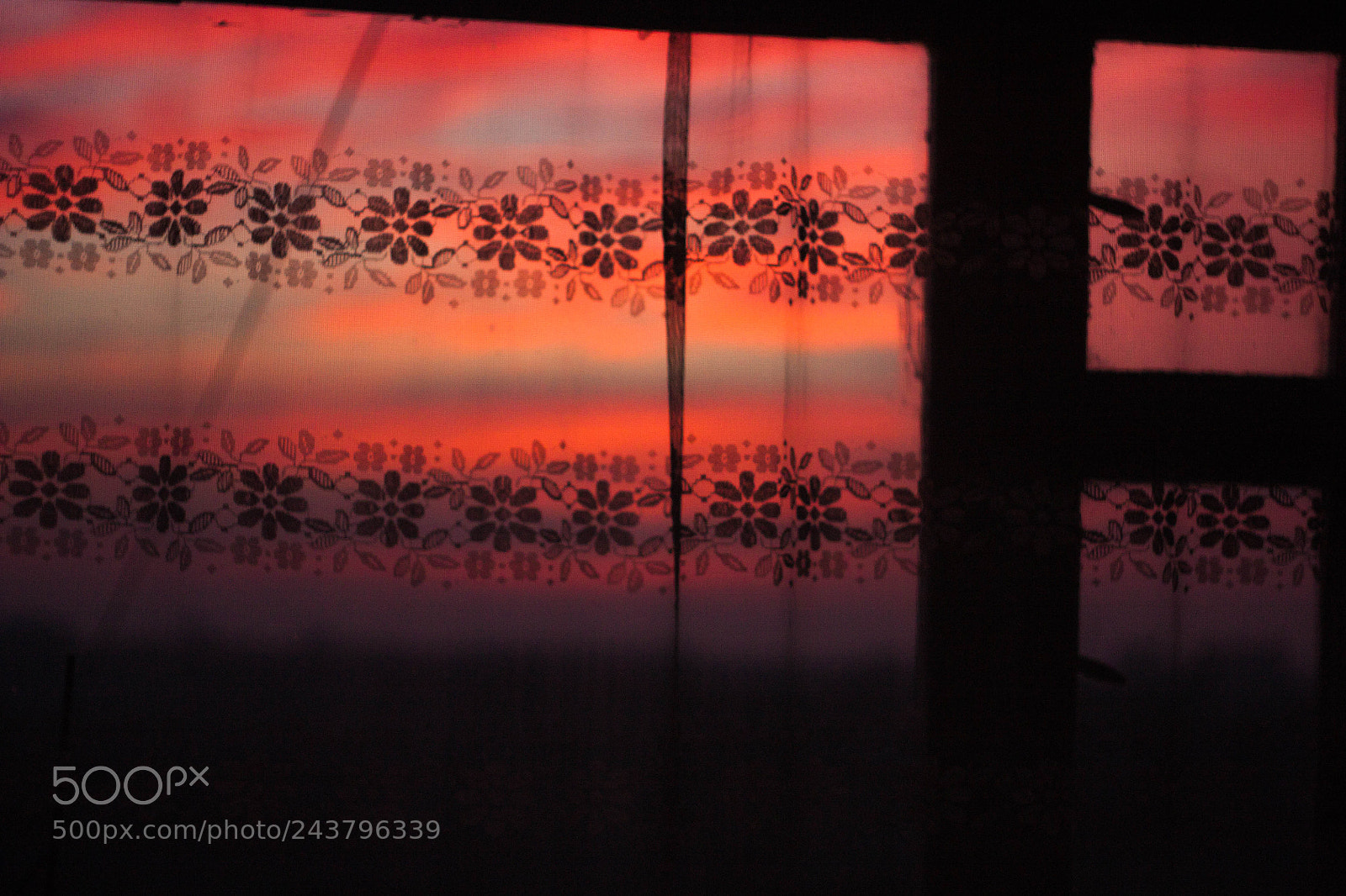 Canon EOS 450D (EOS Rebel XSi / EOS Kiss X2) sample photo. Morning window photography