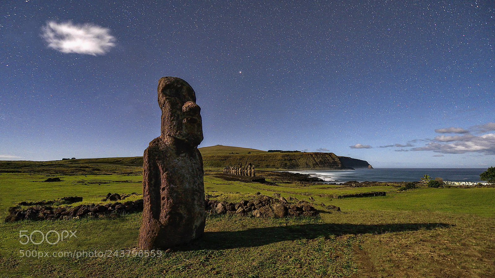 Nikon D610 sample photo. Moonlight shadow photography