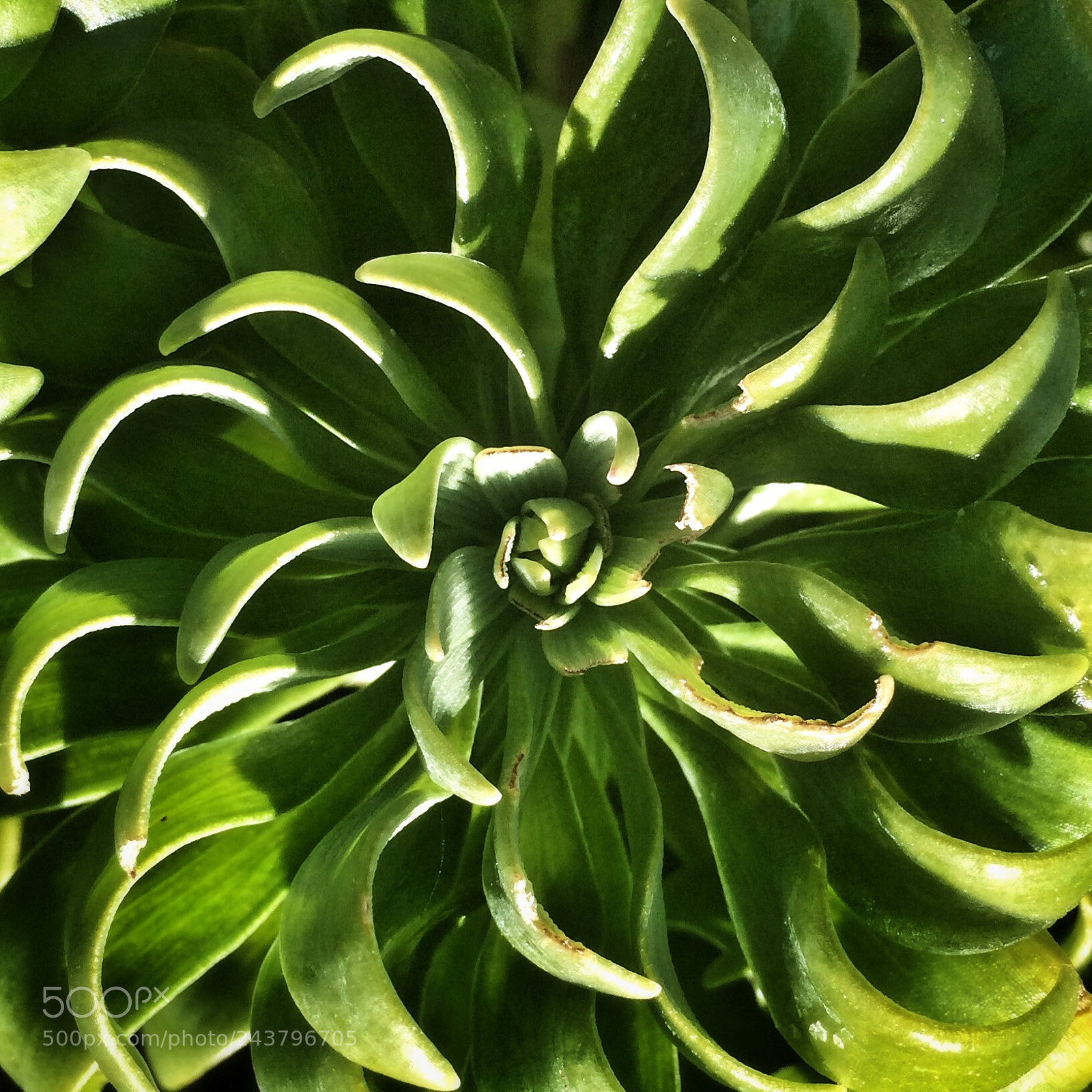 Apple iPhone 5s sample photo. Untitled photography