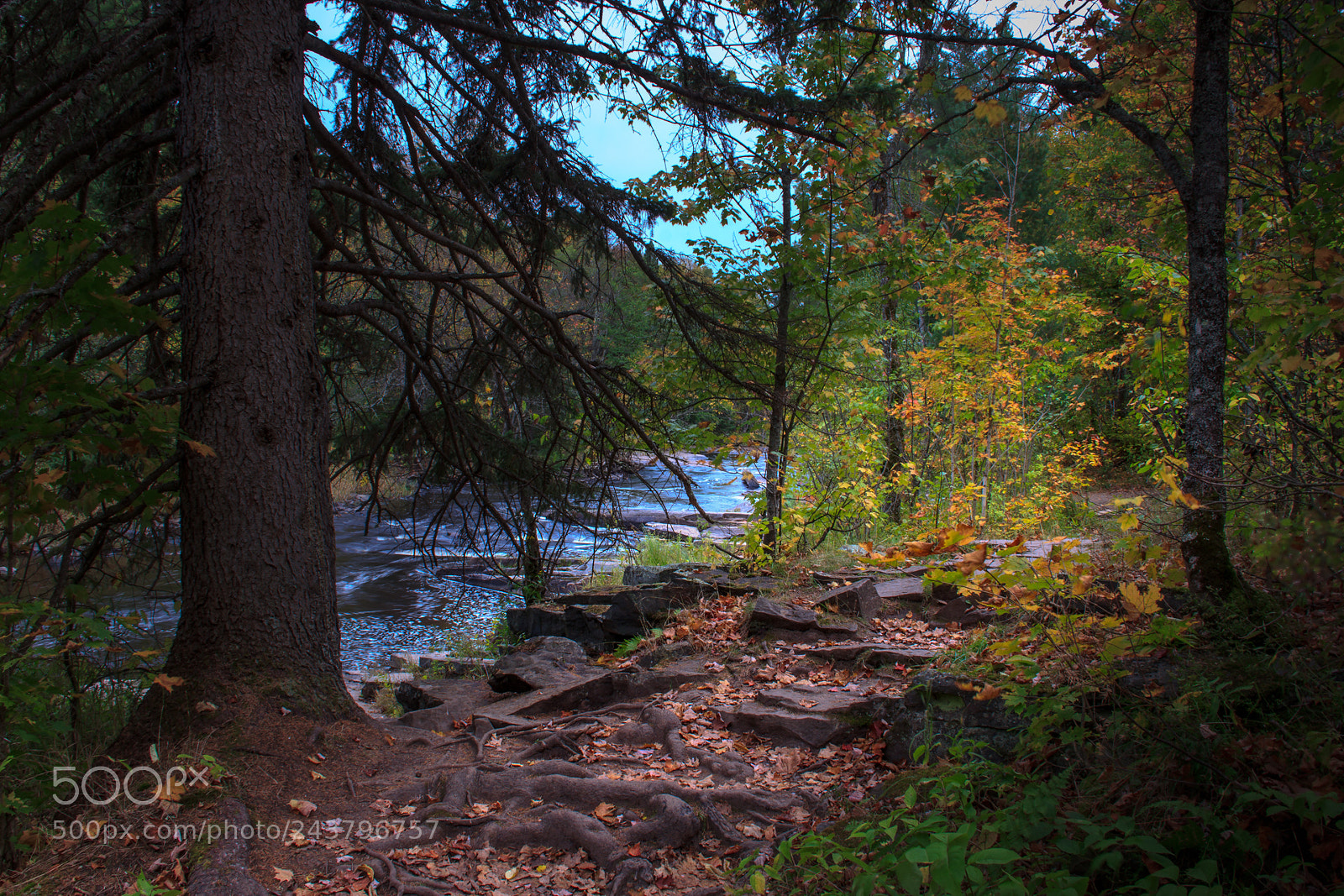 Canon EOS 60D sample photo. Trail to canyon falls photography
