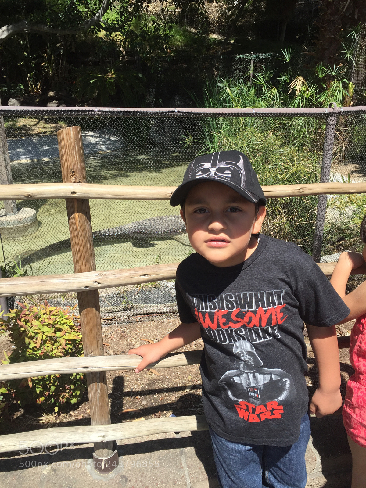 Apple iPhone 6 sample photo. At the zoo photography