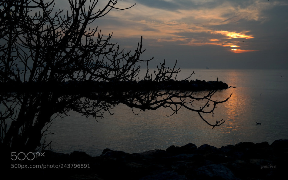 Samsung NX300 sample photo. ... photography