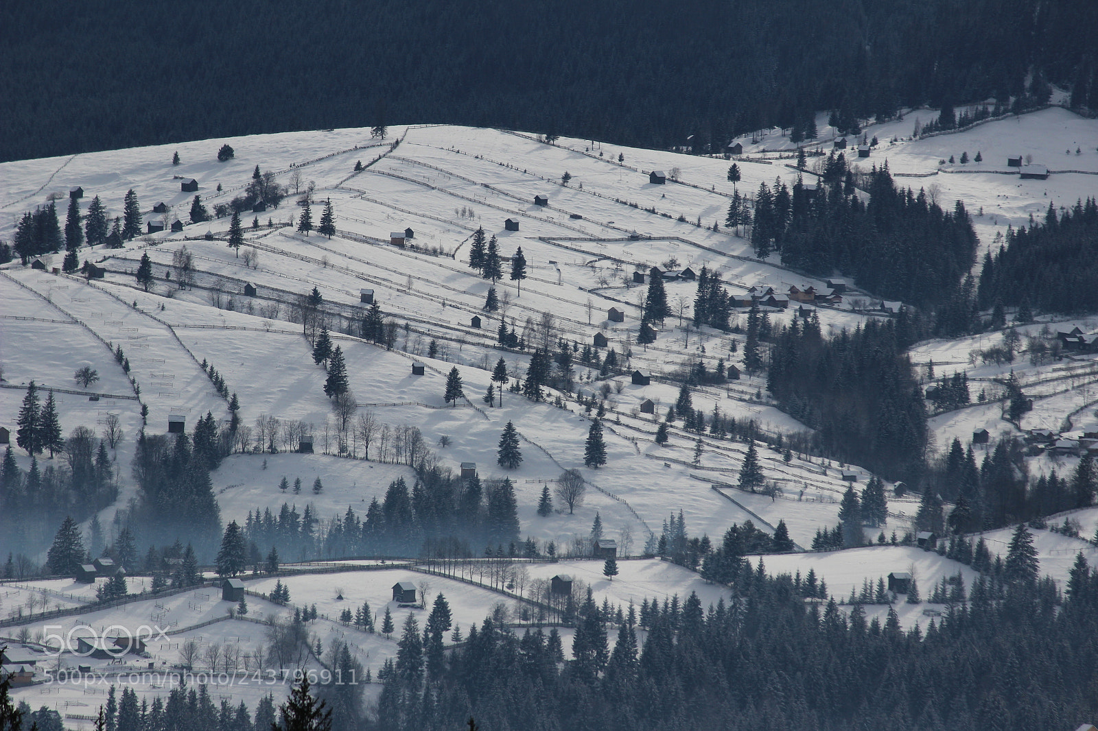 Canon EF-S 55-250mm F4-5.6 IS II sample photo. Img photography