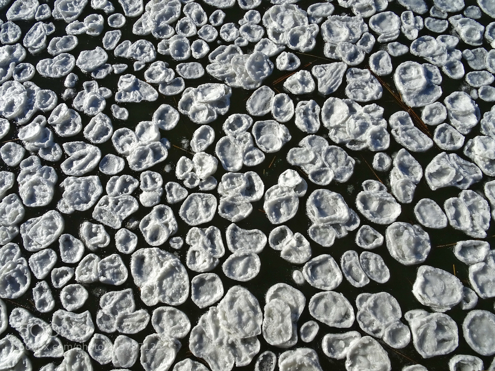 Sony DSC-HX60 sample photo. Snow chips ! photography