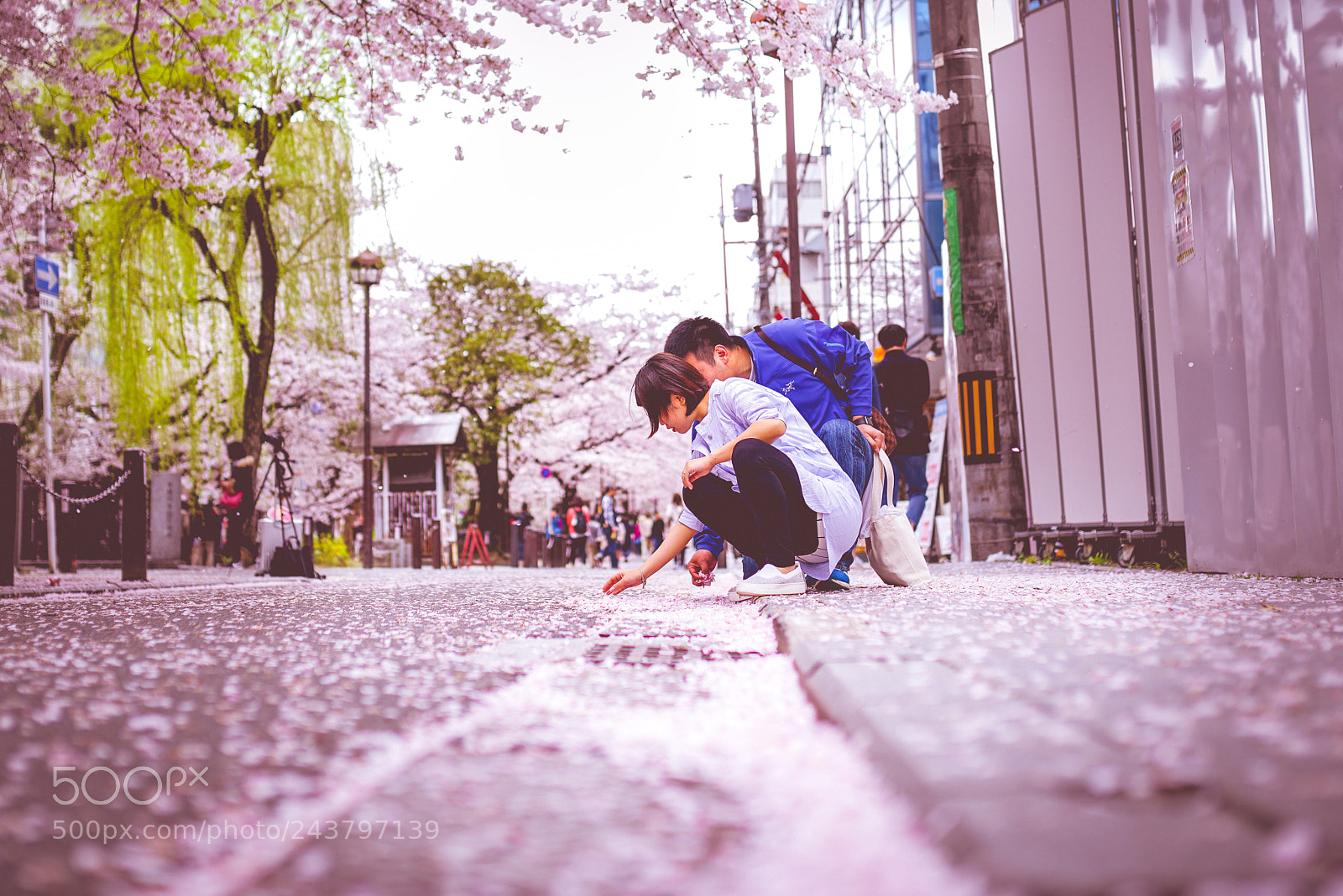 Sony a7R II sample photo. Kyoto, japan 2017 photography