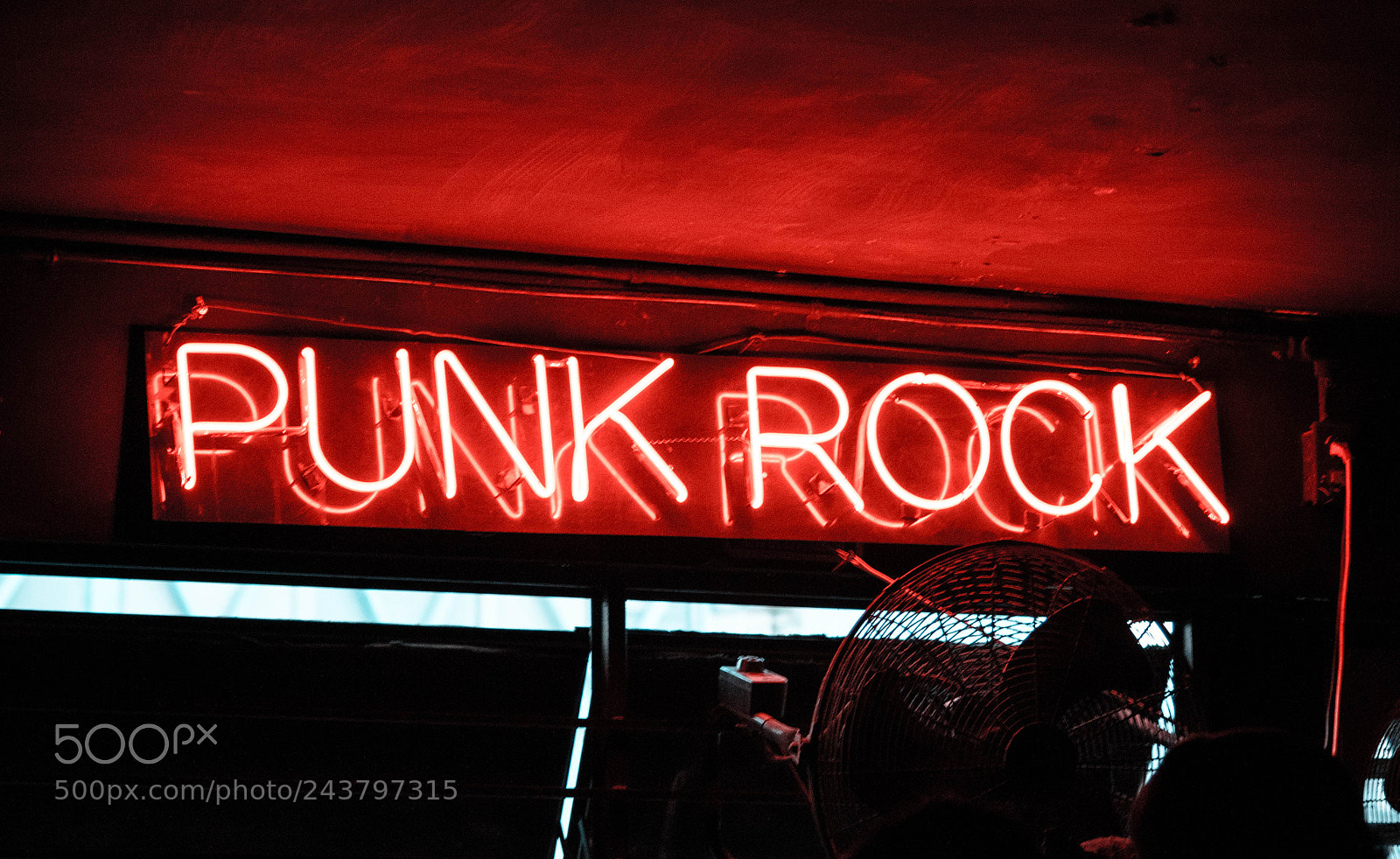 Canon EOS 750D (EOS Rebel T6i / EOS Kiss X8i) sample photo. Punk rock neon gato photography