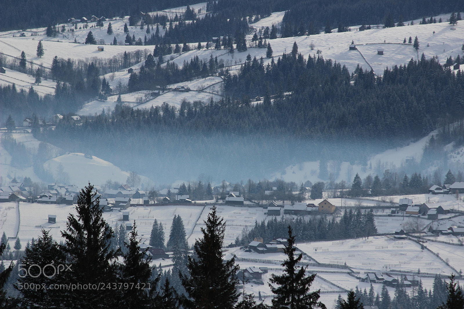 Canon EF-S 55-250mm F4-5.6 IS II sample photo. Img photography