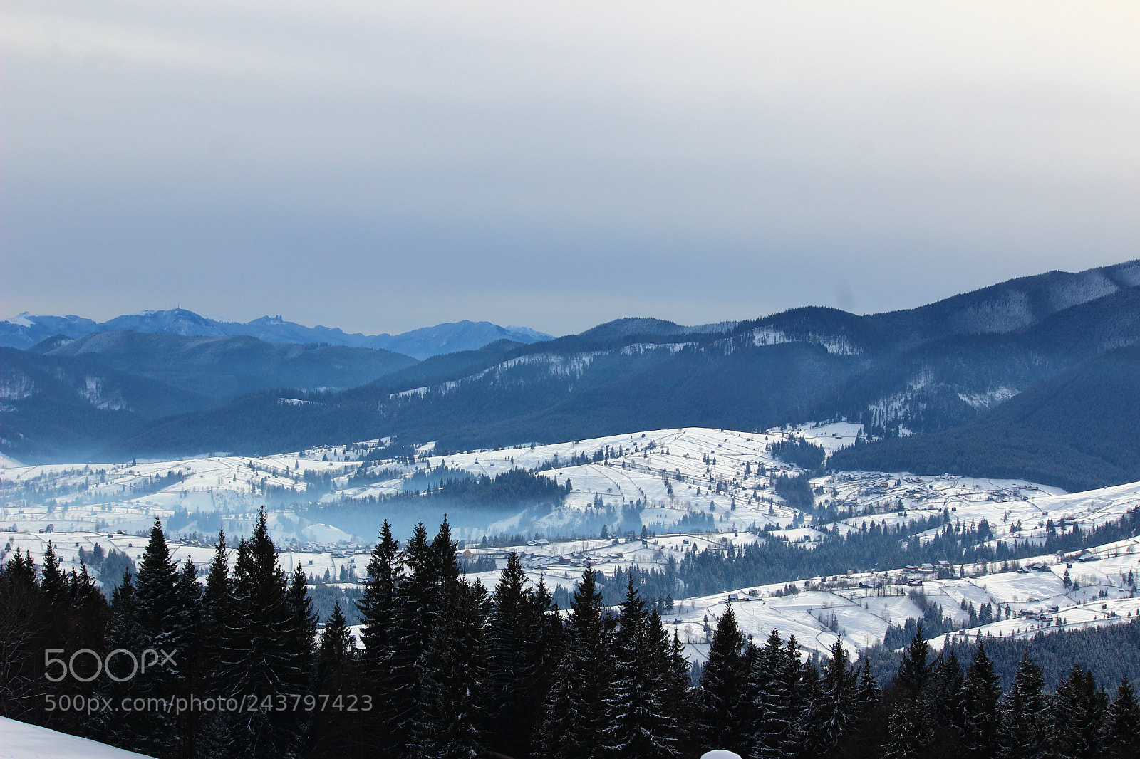 Canon EF-S 55-250mm F4-5.6 IS II sample photo. Img photography