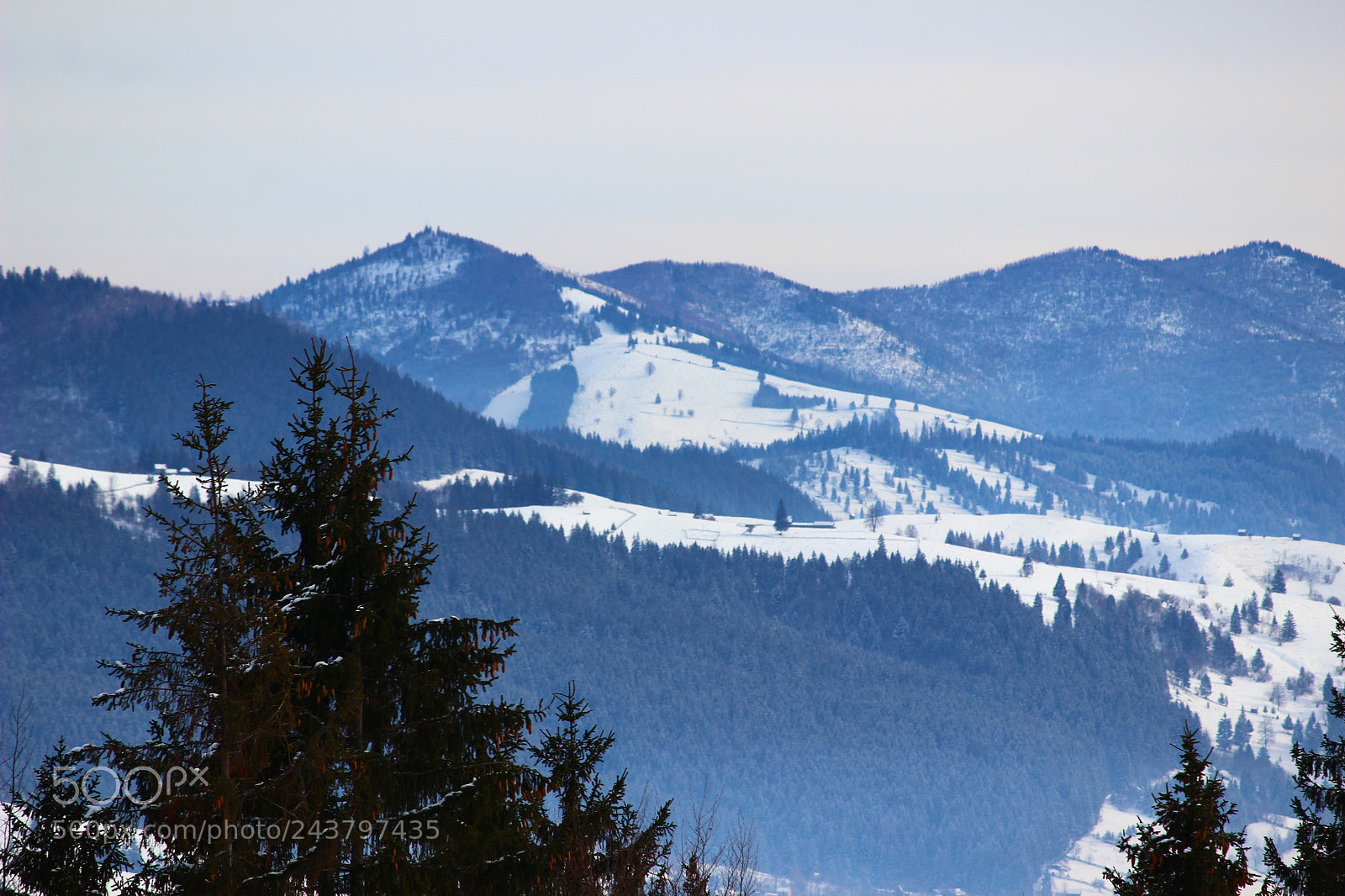 Canon EF-S 55-250mm F4-5.6 IS II sample photo. Img photography