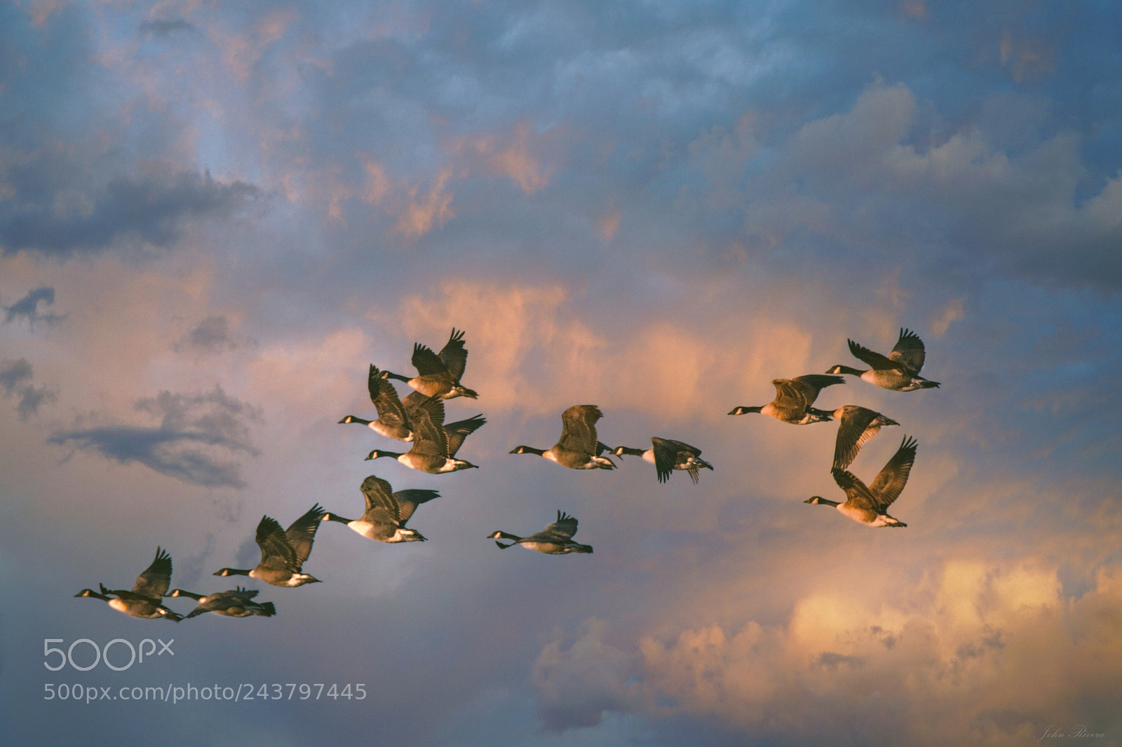 Canon EOS 760D (EOS Rebel T6s / EOS 8000D) sample photo. Group flight photography
