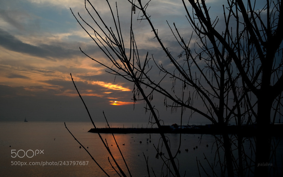 Samsung NX300 sample photo. ... photography