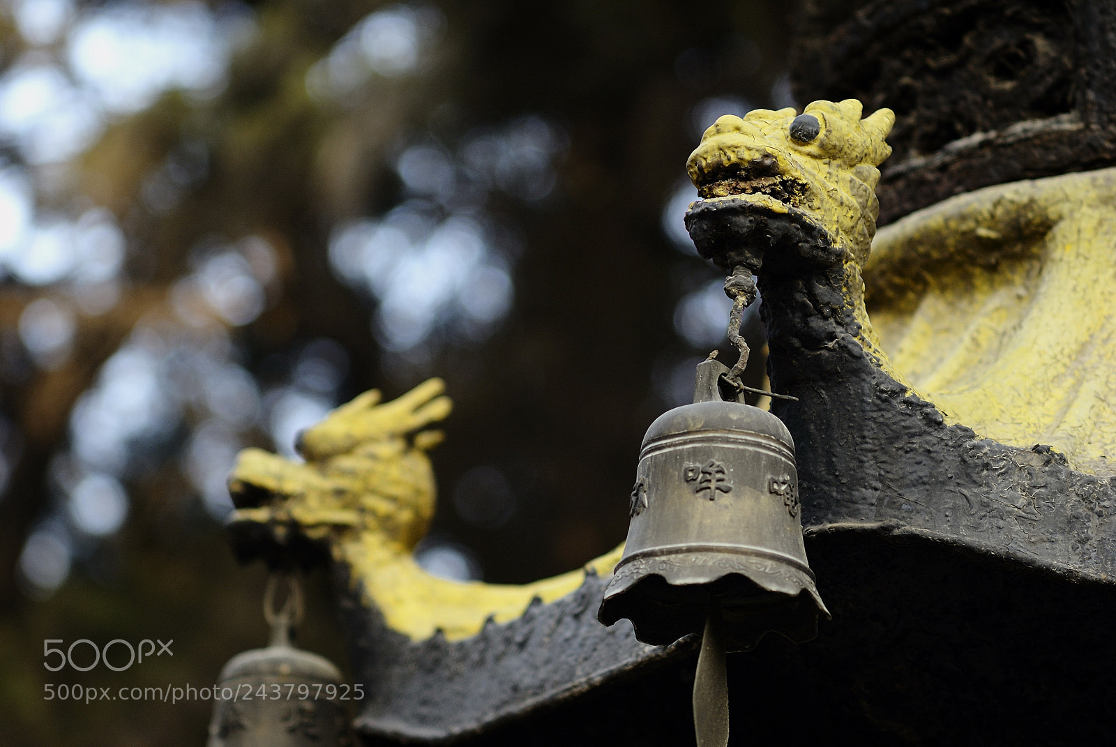 Nikon D200 sample photo. Csw photography