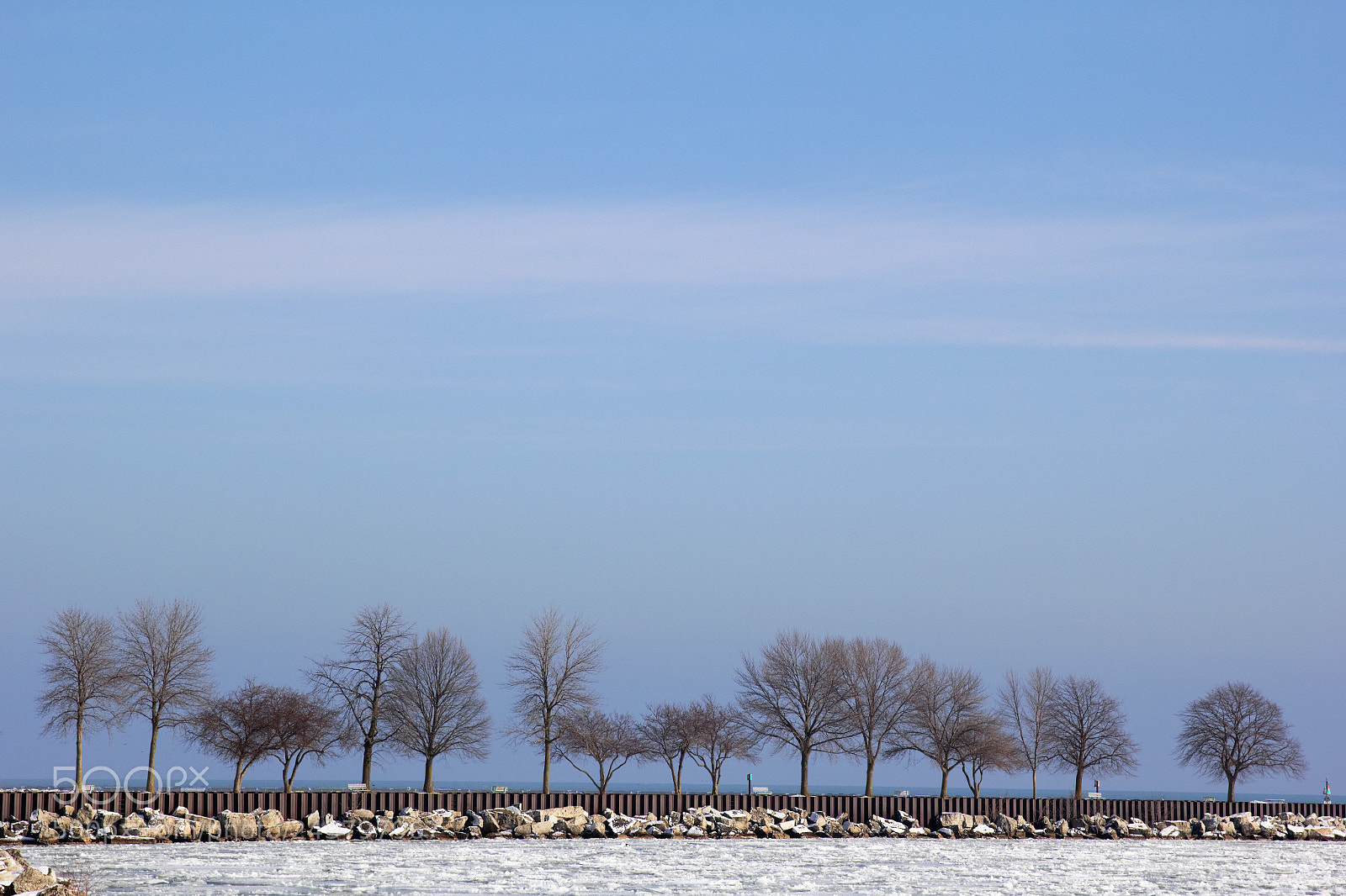 Canon EOS 60D sample photo. Waiting for summer photography