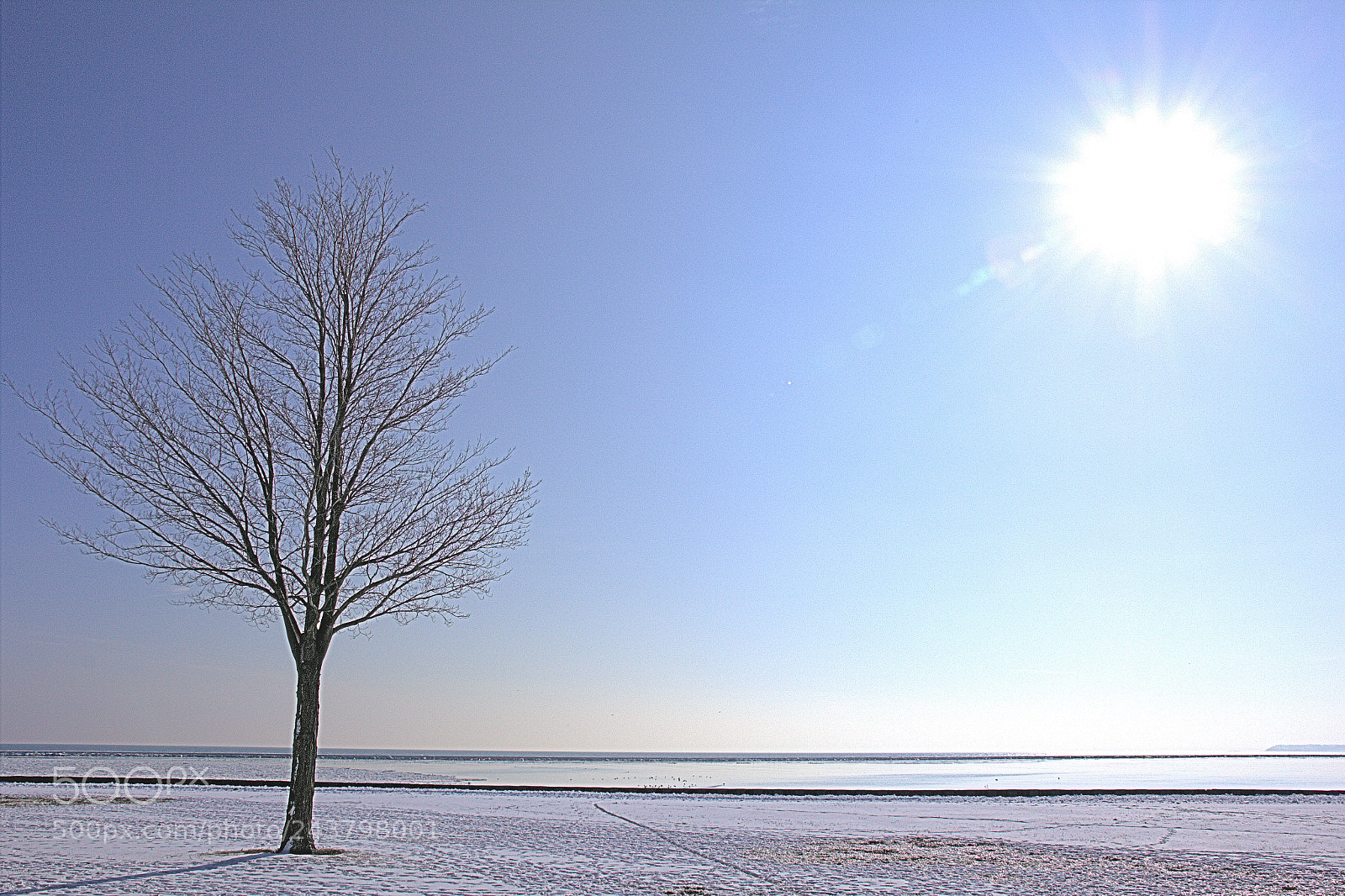Canon EOS 60D sample photo. Sunshine daydream photography
