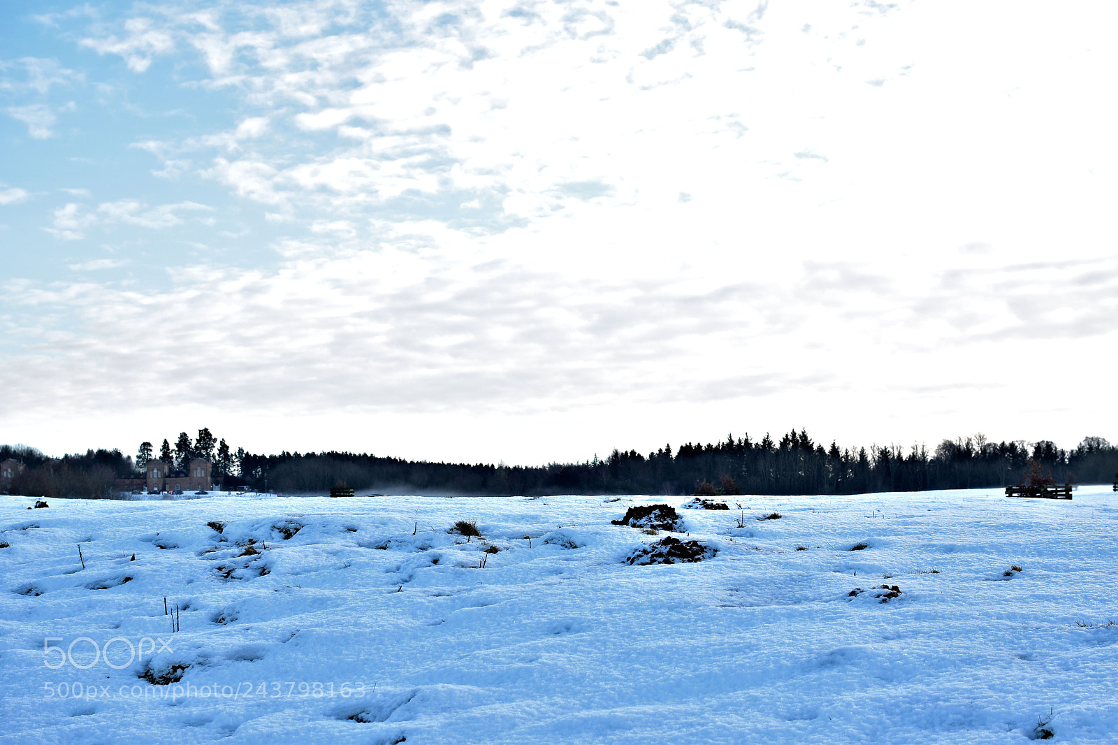 Nikon D5500 sample photo. Chatelerault winters day photography