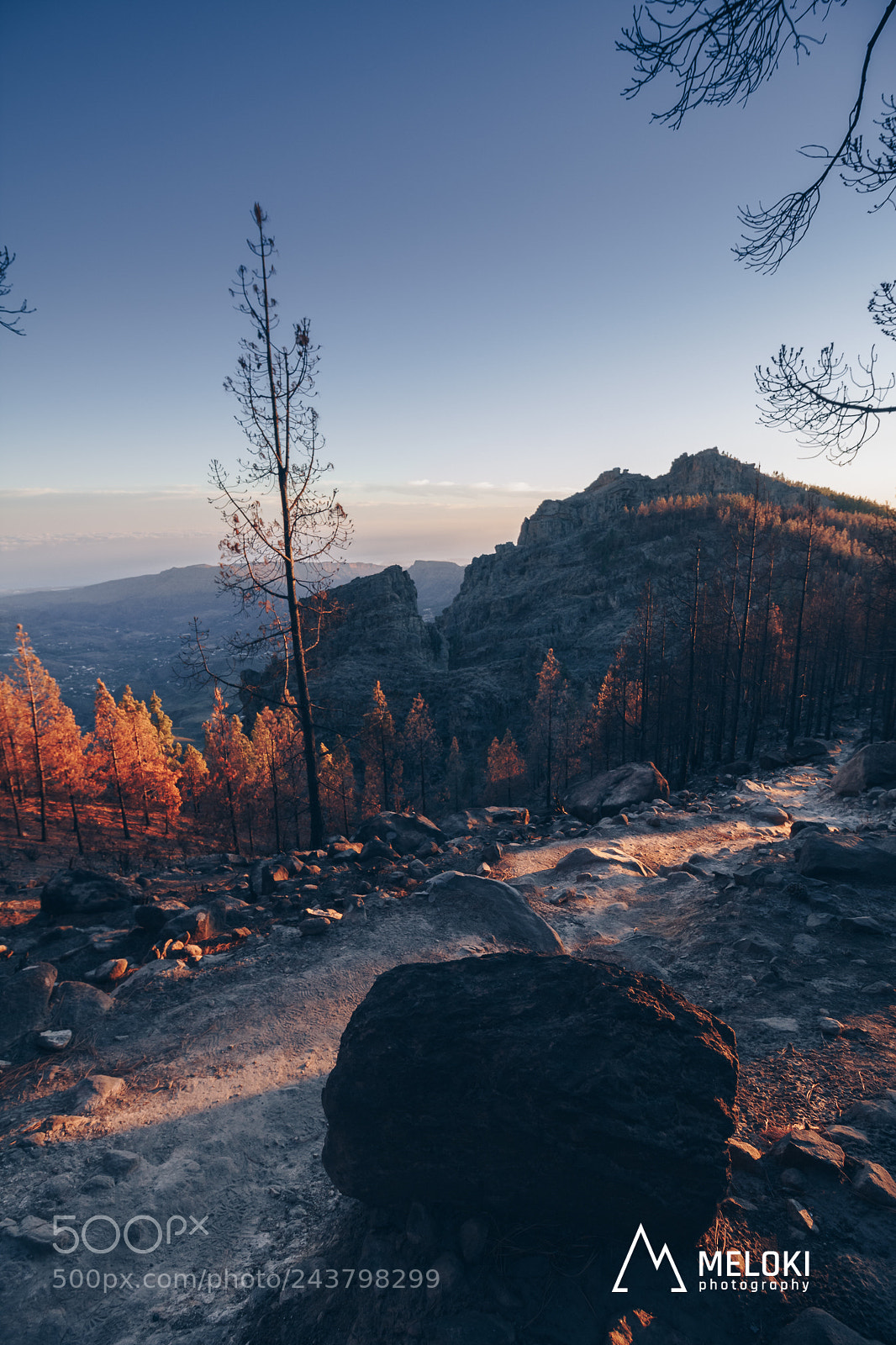 Canon EOS 60D sample photo. After the fire in photography
