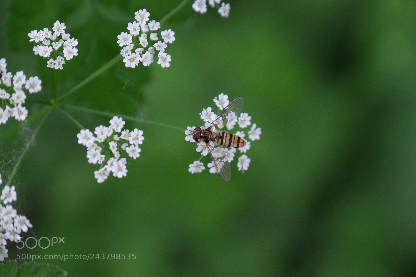 Fujifilm X-T1 sample photo. Untitled photography