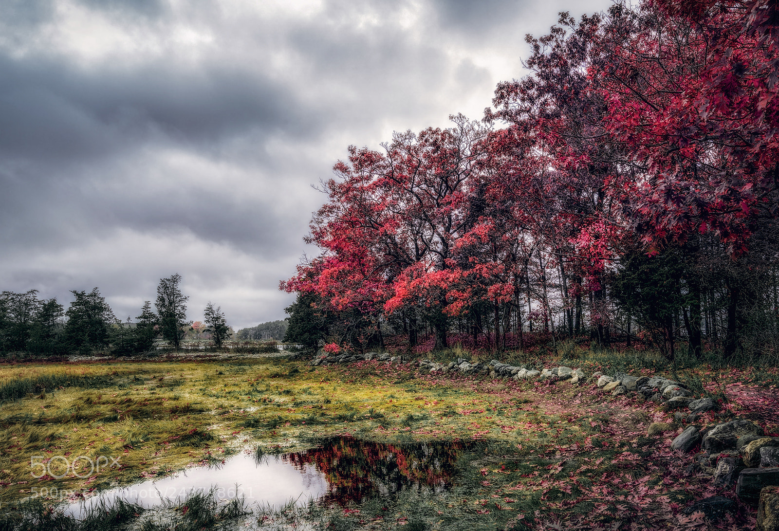 Sony a7R II sample photo. Last of fall photography
