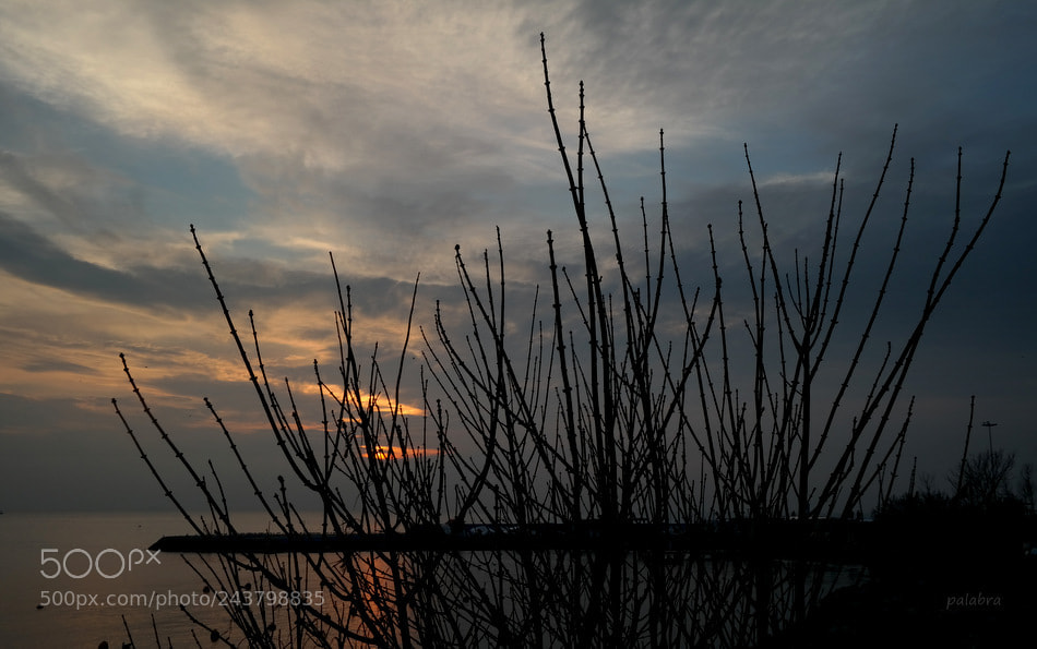 Samsung NX300 sample photo. ... photography