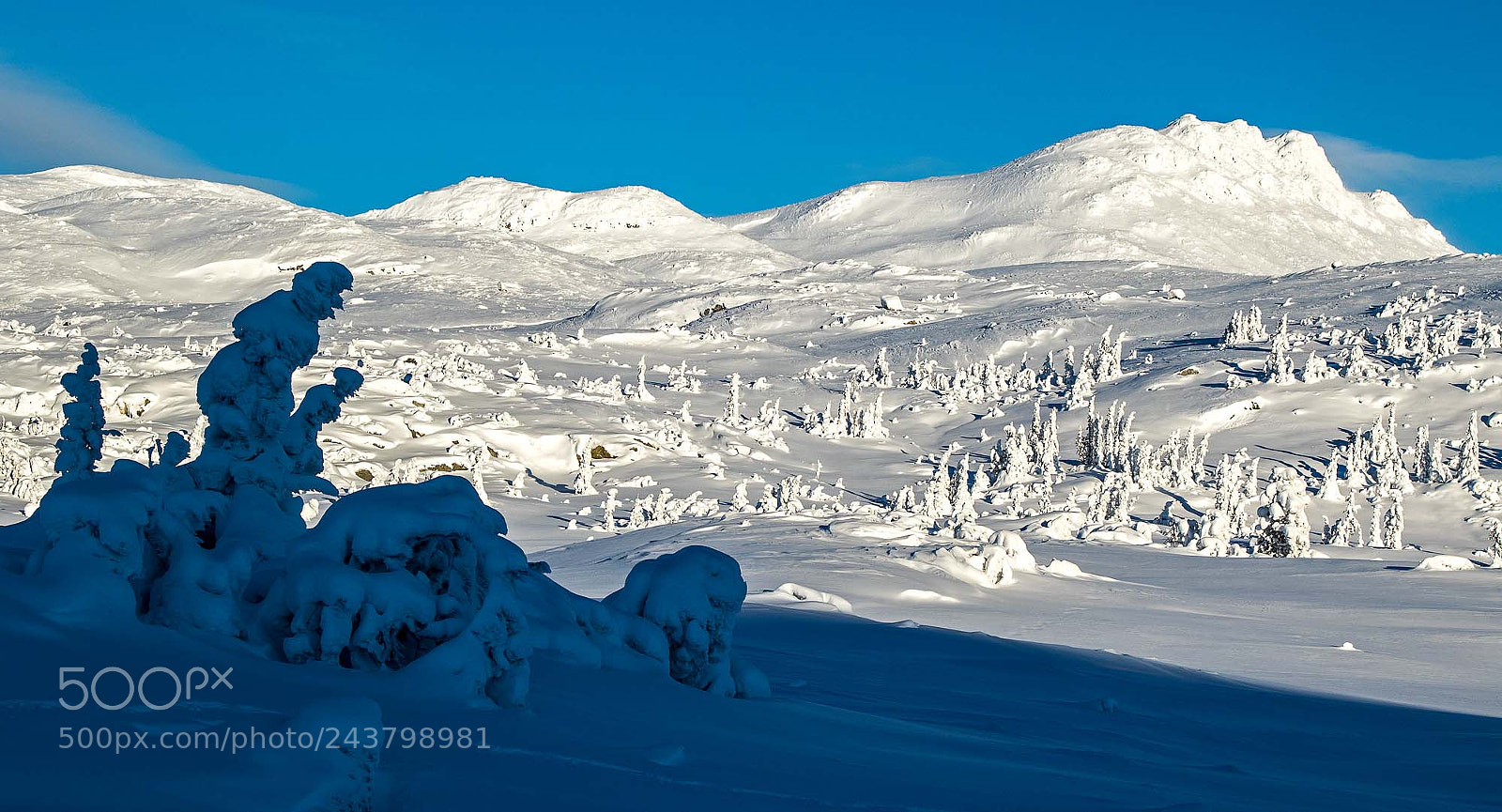 Canon EOS 7D Mark II sample photo. Winter in eggedal, norway photography