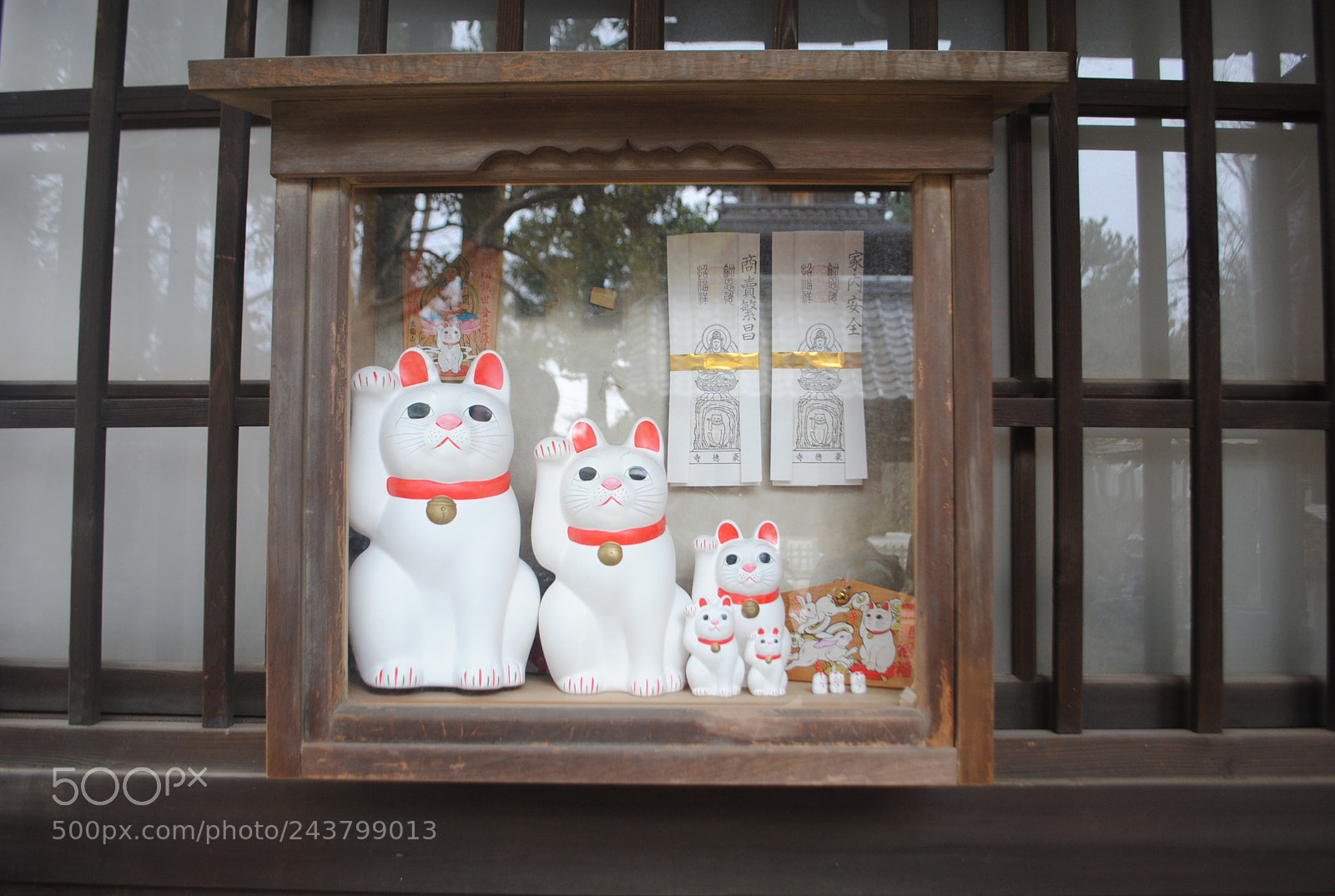 Nikon D3000 sample photo. Maneki neko (豪徳寺) photography