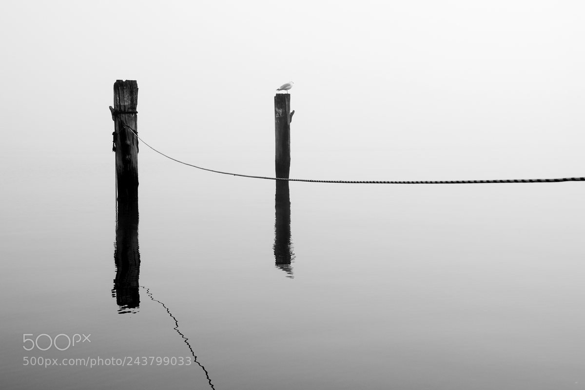 Sony Cyber-shot DSC-RX10 III sample photo. Kiel nebel bw photography