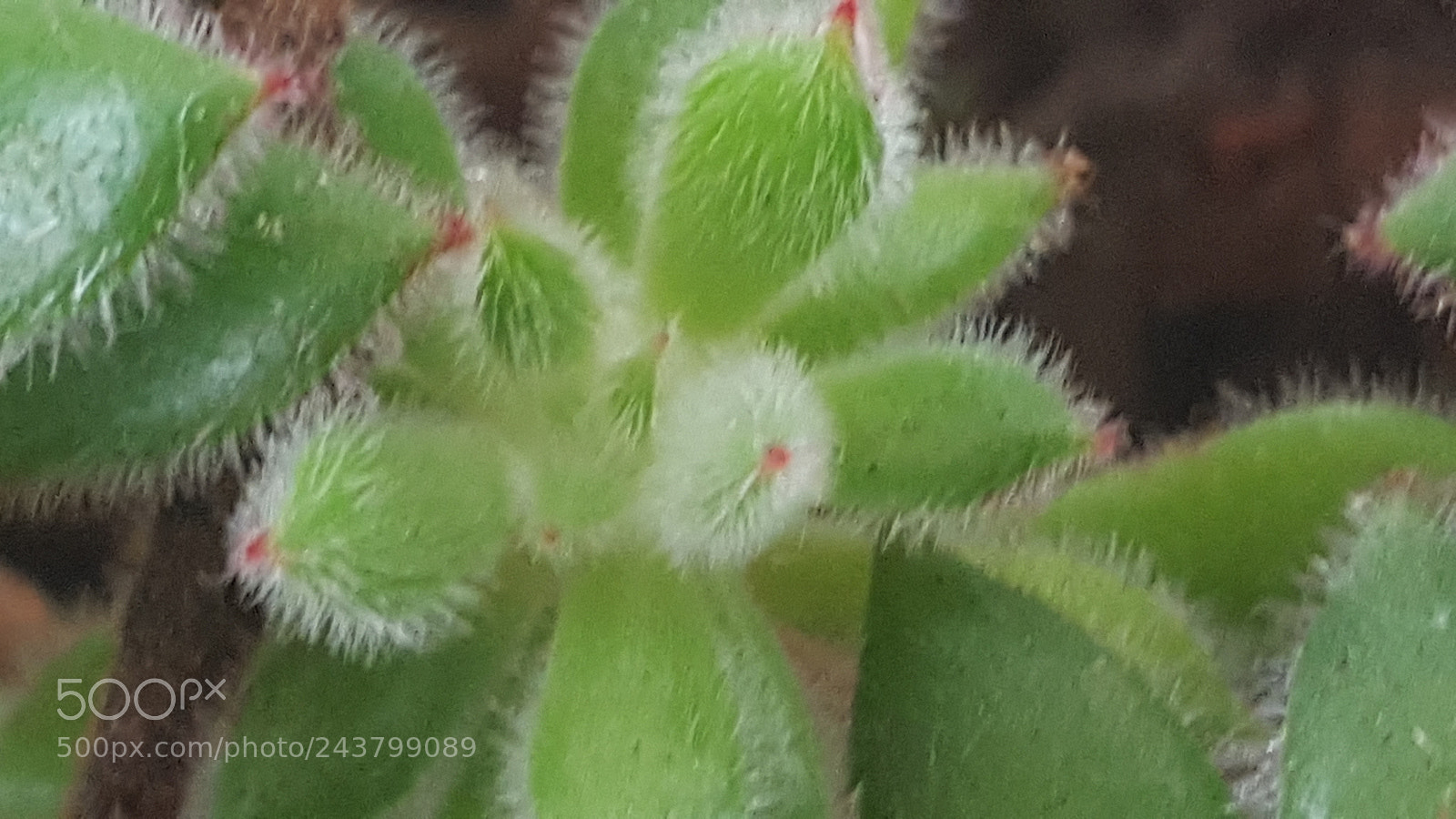 Samsung Galaxy S6 sample photo. Untitled photography