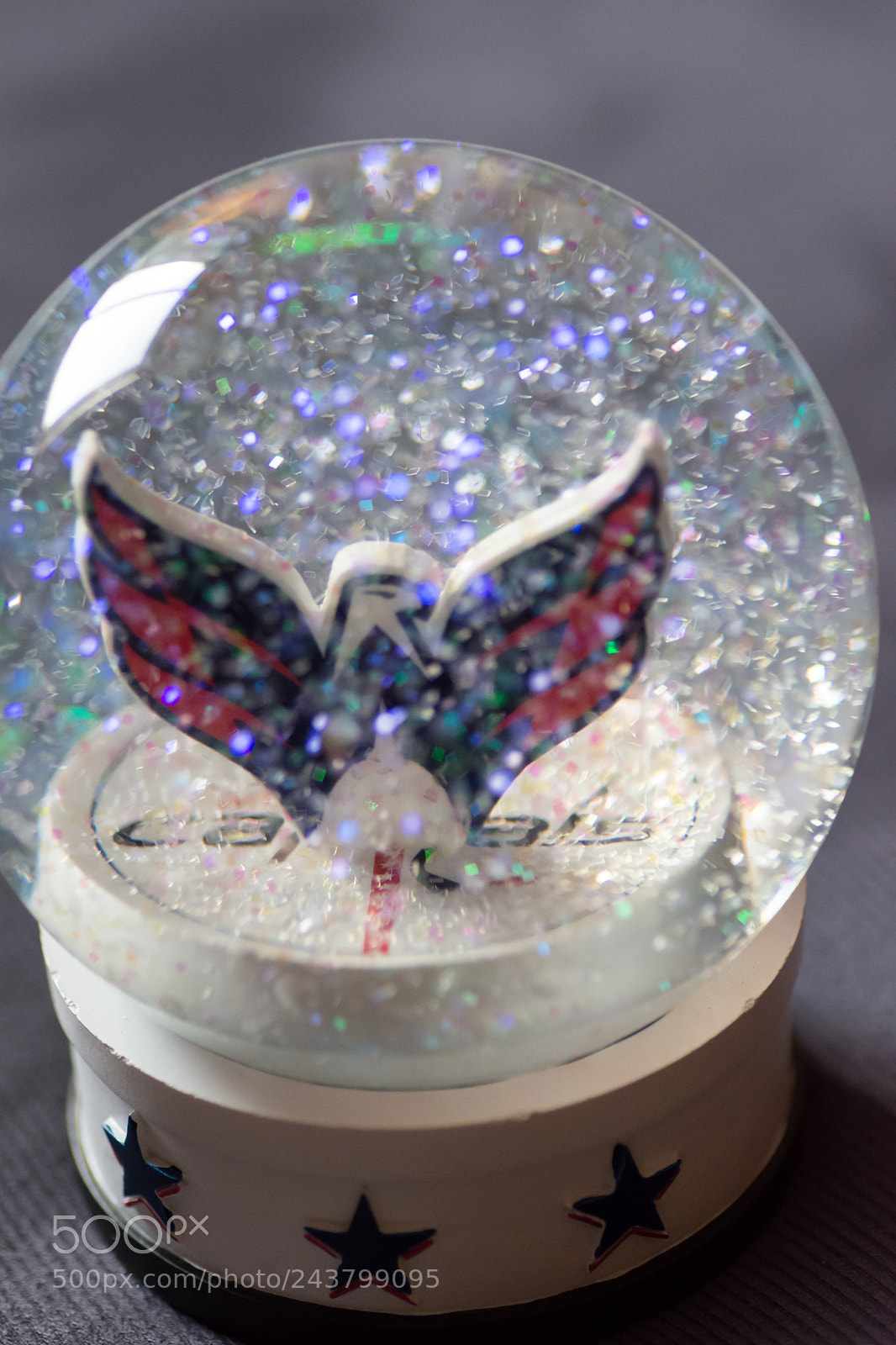 Nikon D7200 sample photo. Washington caps snow globe photography