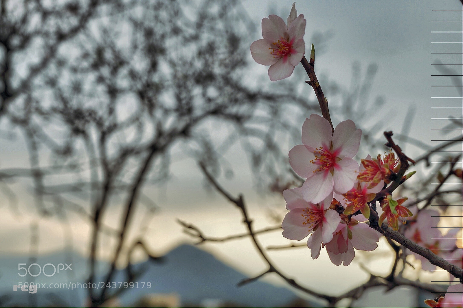Sony Alpha a5000 (ILCE 5000) sample photo. Delta del ebro. photography