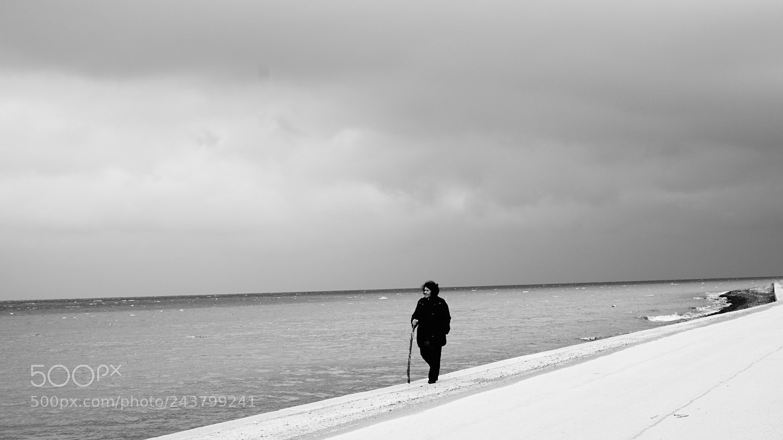 Sony Alpha a5000 (ILCE 5000) sample photo. Life in mono photography