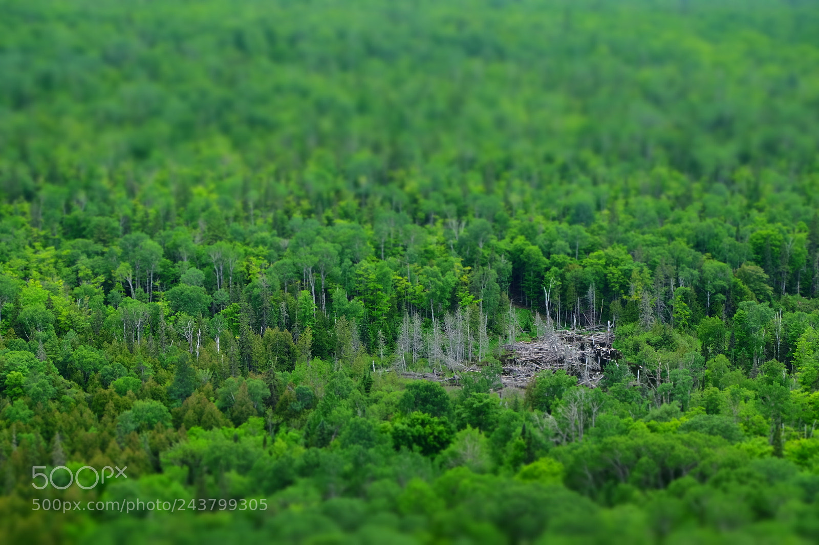 Fujifilm X-T10 sample photo. Brockway mountain drive photography